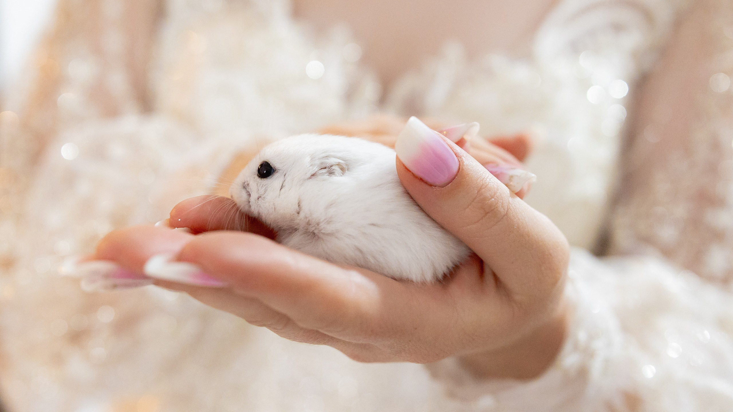 Portofoliu Fotograf Nunta Tulcea — Selectii | Codux. Codux — Fotograf Tulcea | Fotograf Evenimente