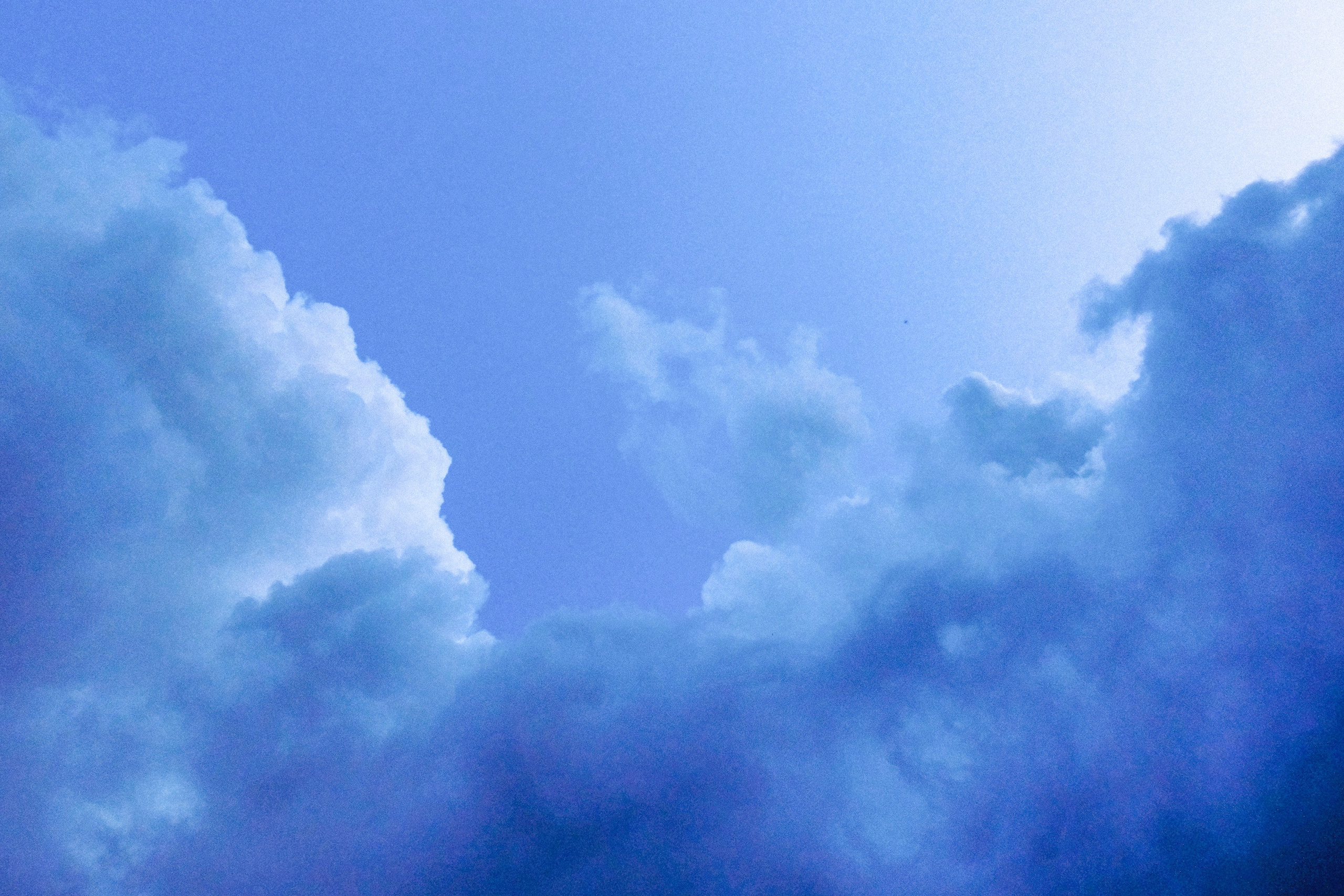 Photography. Fermented Solipsism artist & documentary photographer in California