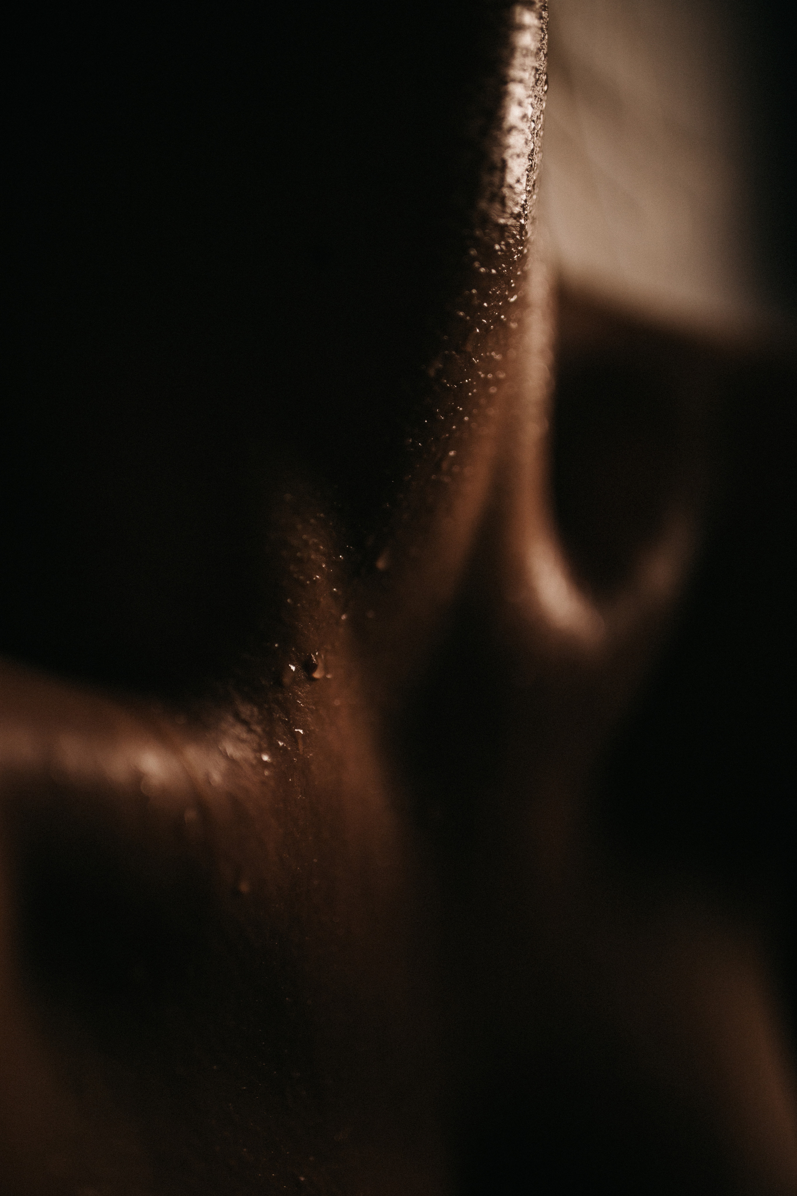 Dari. Photographer in Santiago, Chile Anna Almazova