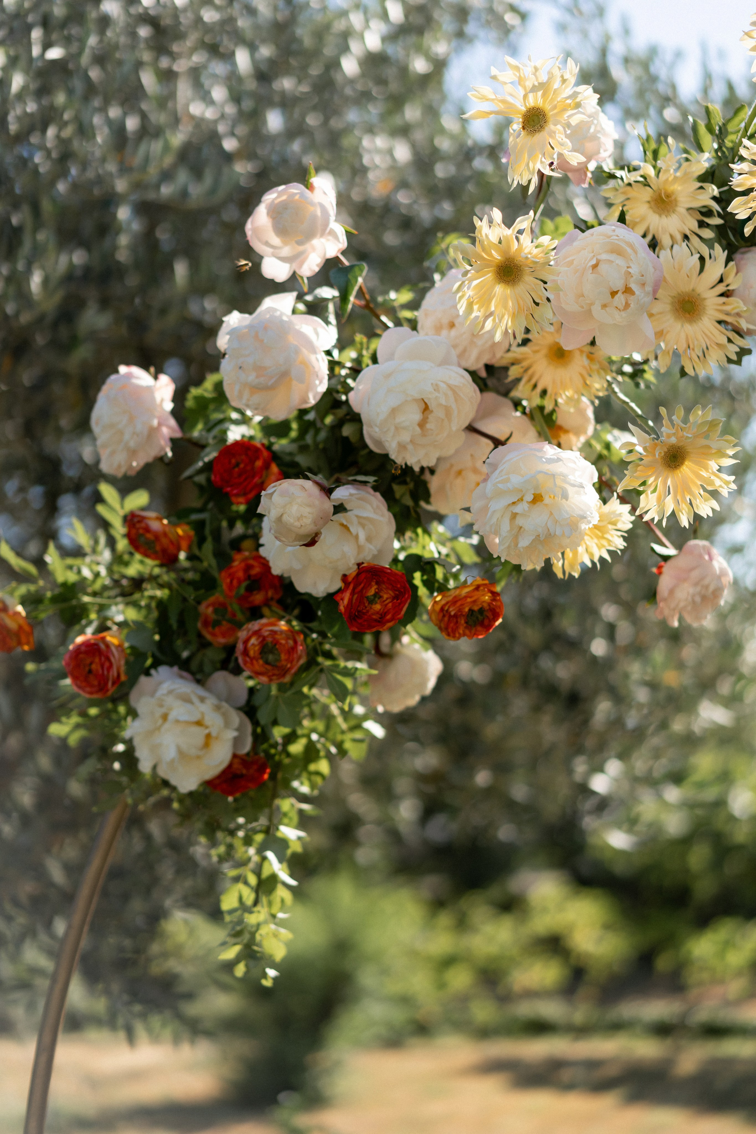 Talici Hill Wedding in Montenegro