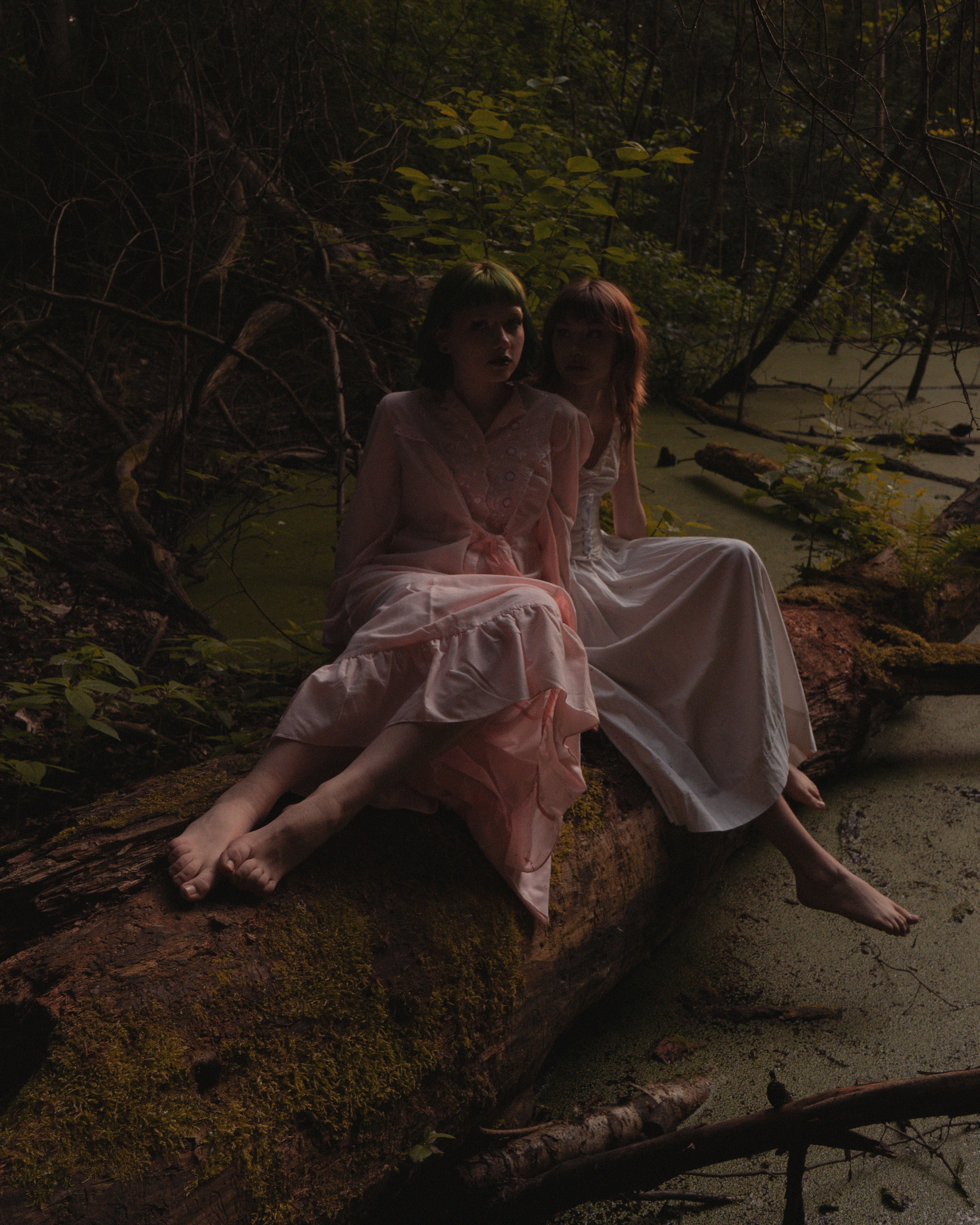 Nature. RRproduction