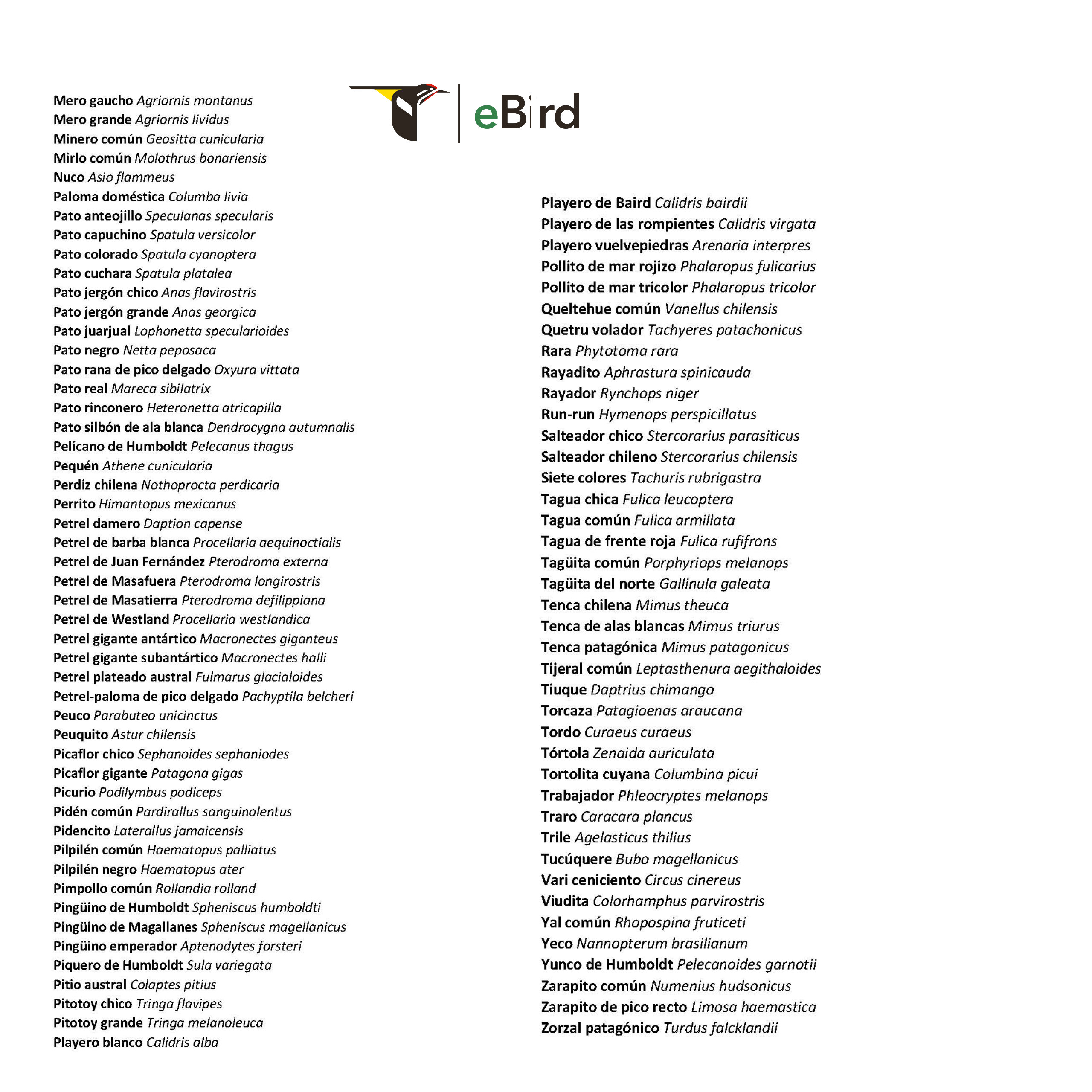 Listado de Aves presentes en la región de los ríos. Avesdevaldivia