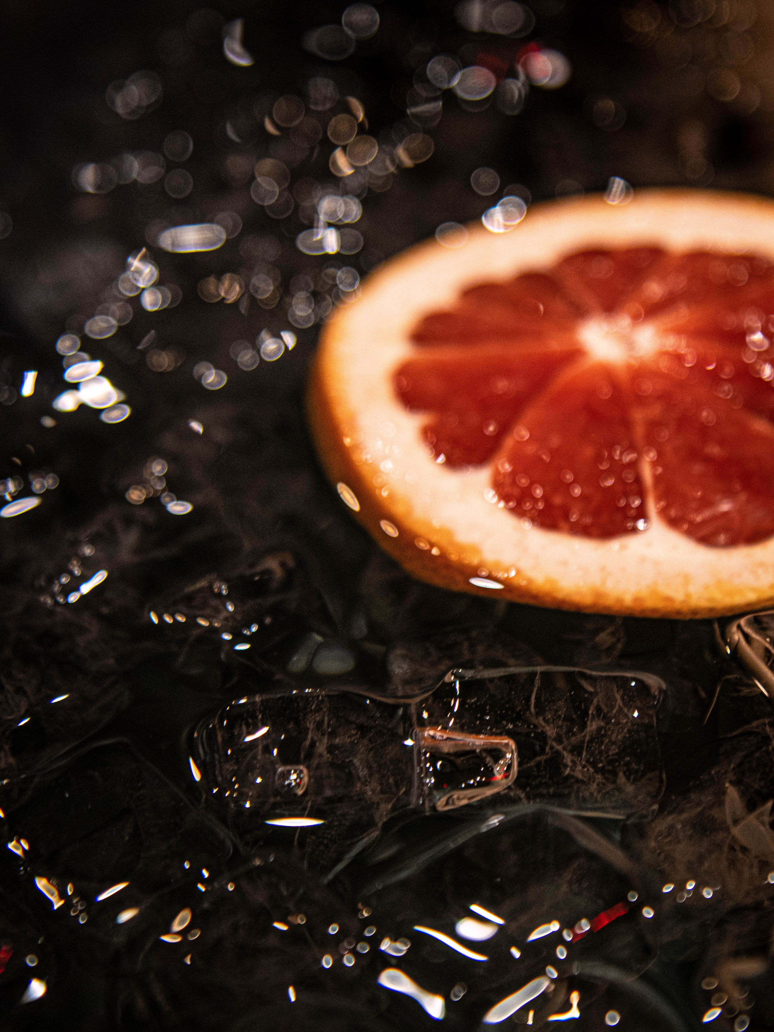 005. Palagina Ksusha, photographer in NY