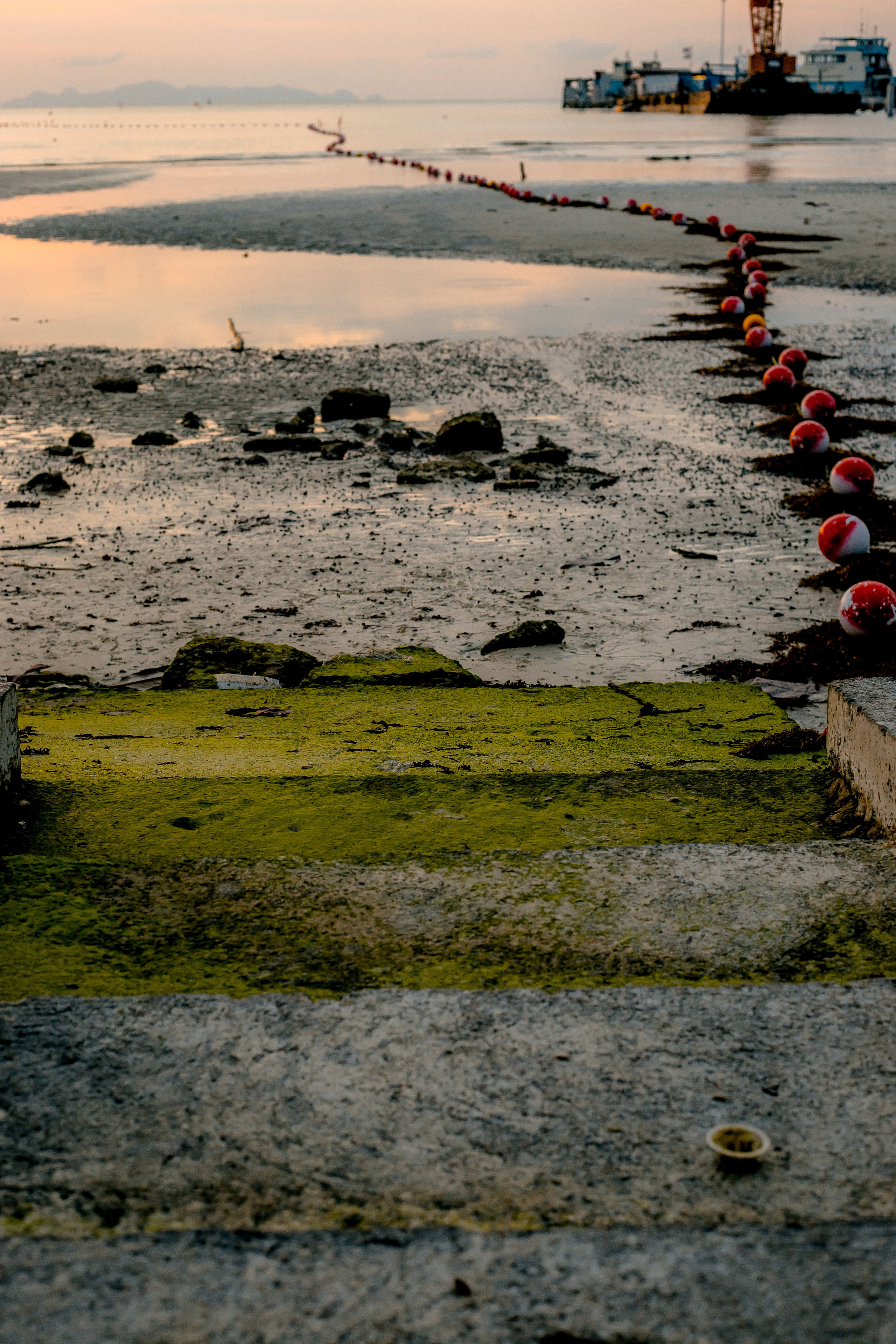 Thailand 2023, Samui. Art Photographer