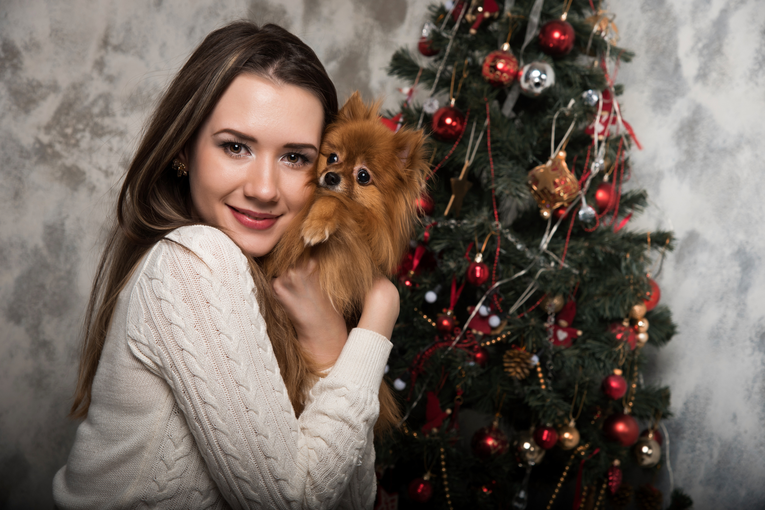 Vanoce a Silvestr. Photographer in Prague Lisniak Dmitriy