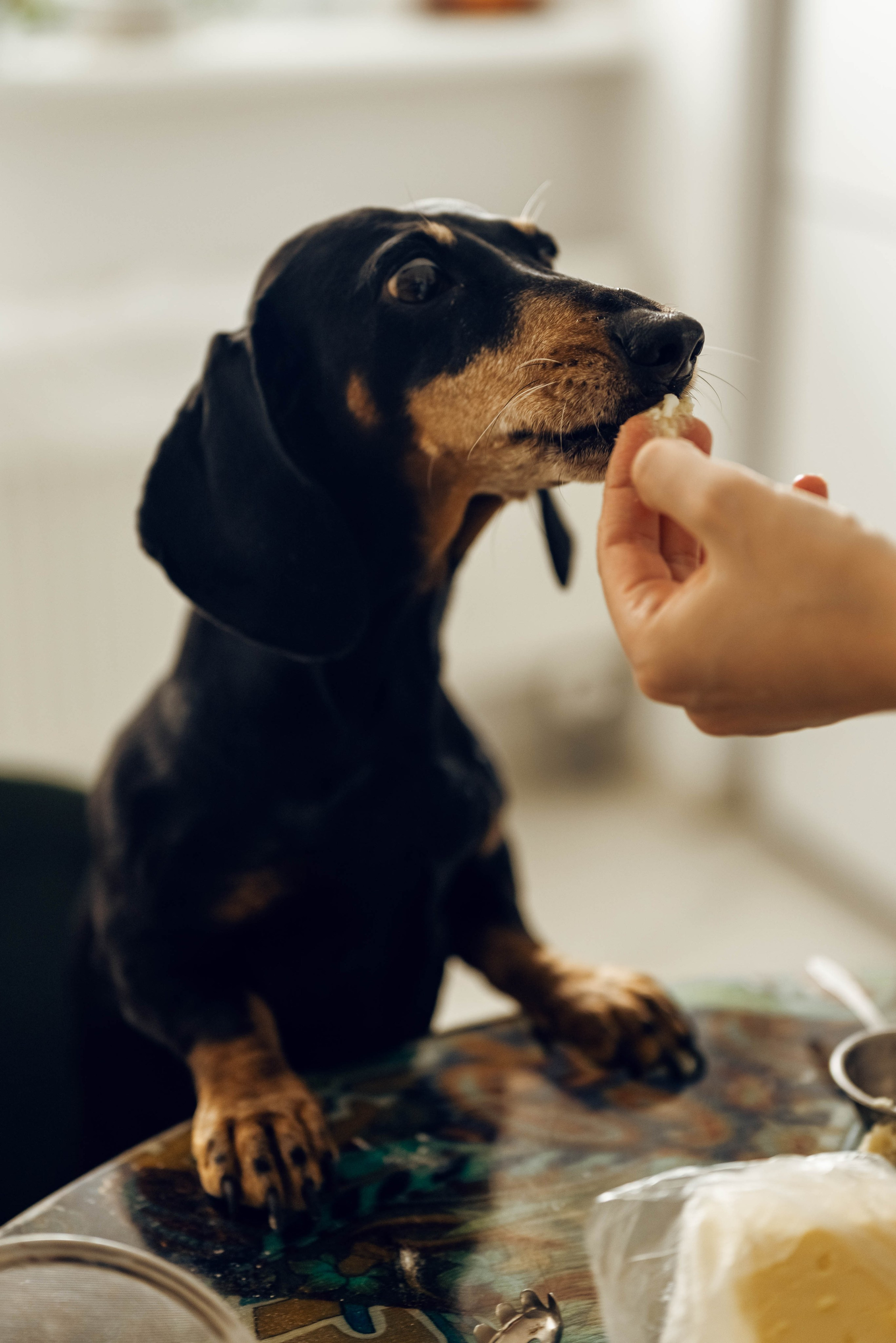 Александра, Николай, Соломия. Фотограф Ирина Новикова
