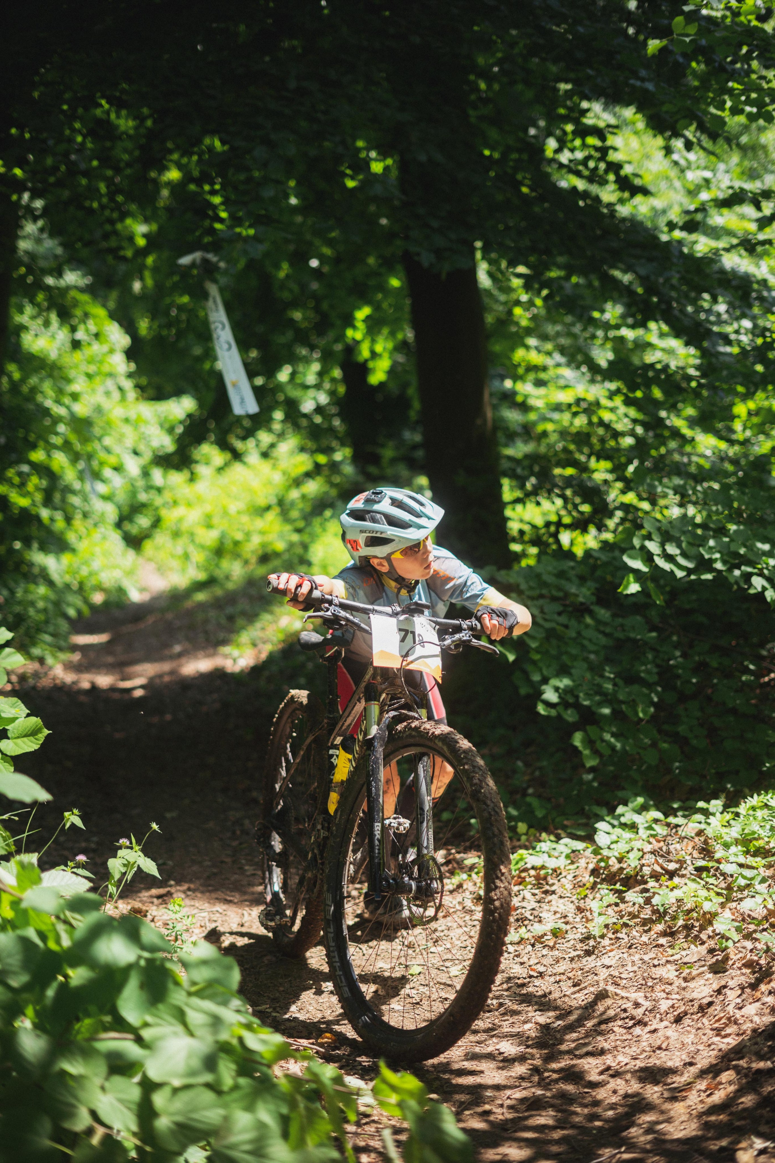 Tour de Fruska. Zhukov studio