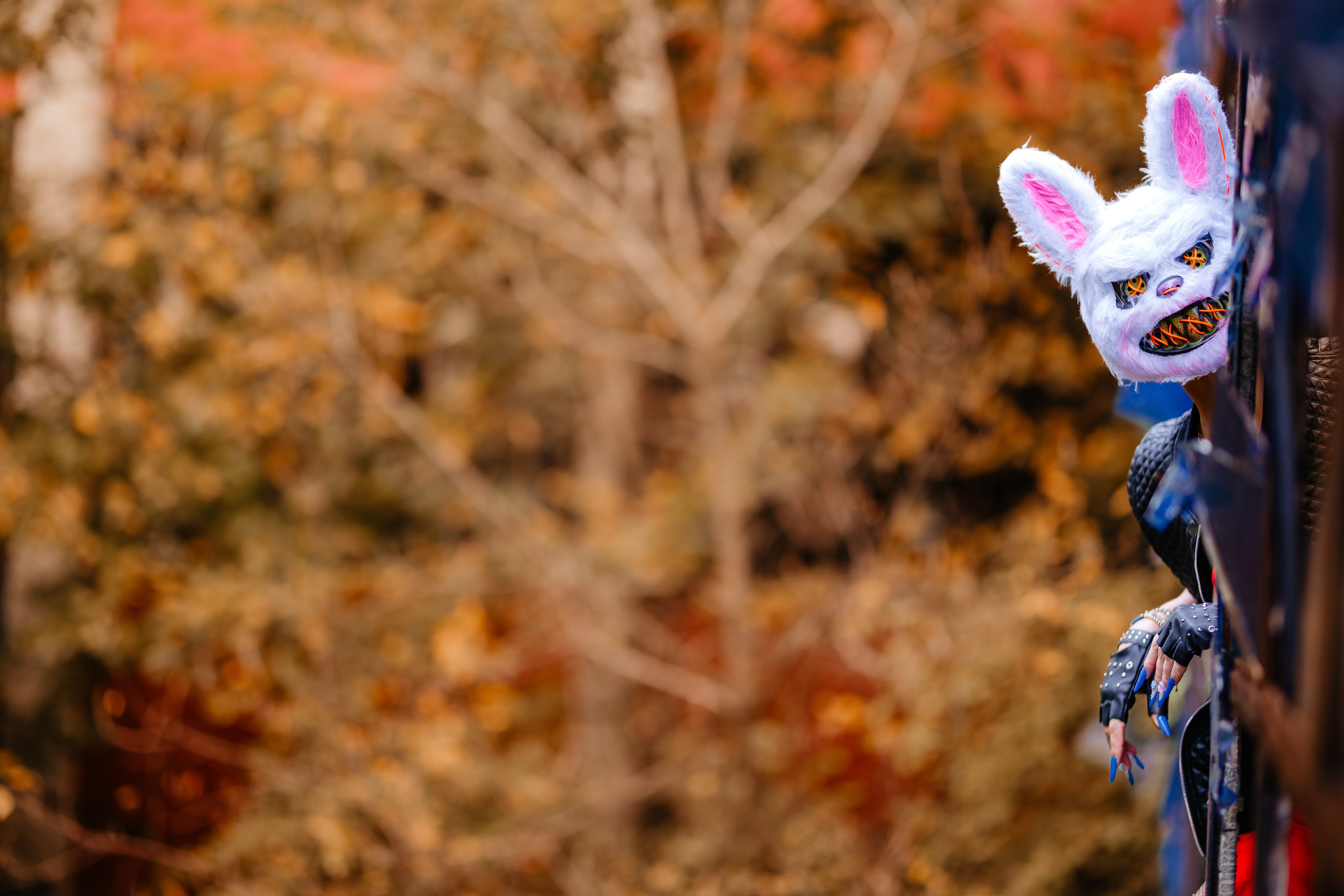 Halloween. Ionut Brehuescu — Fotograf