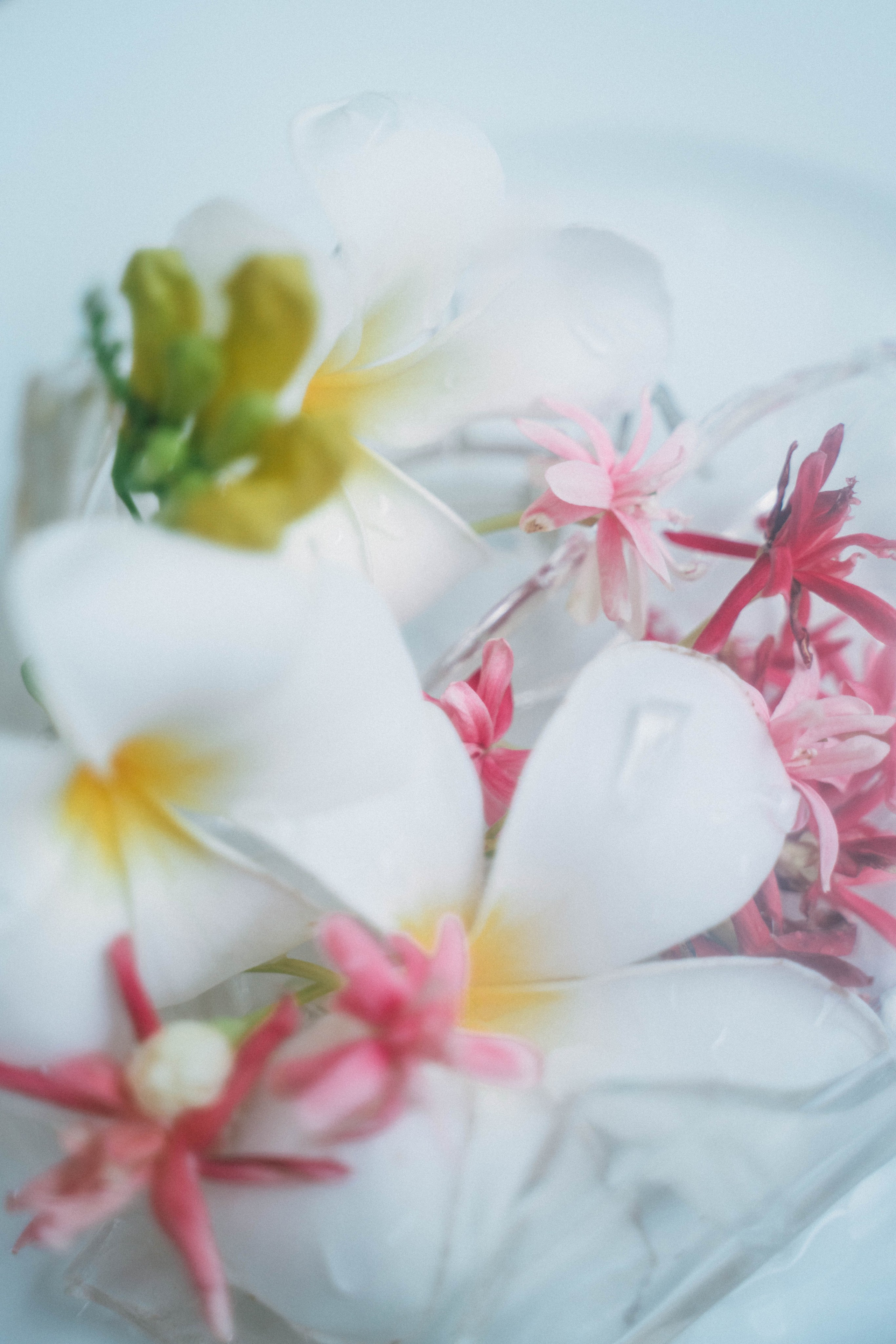 Photographer Phu Quoc