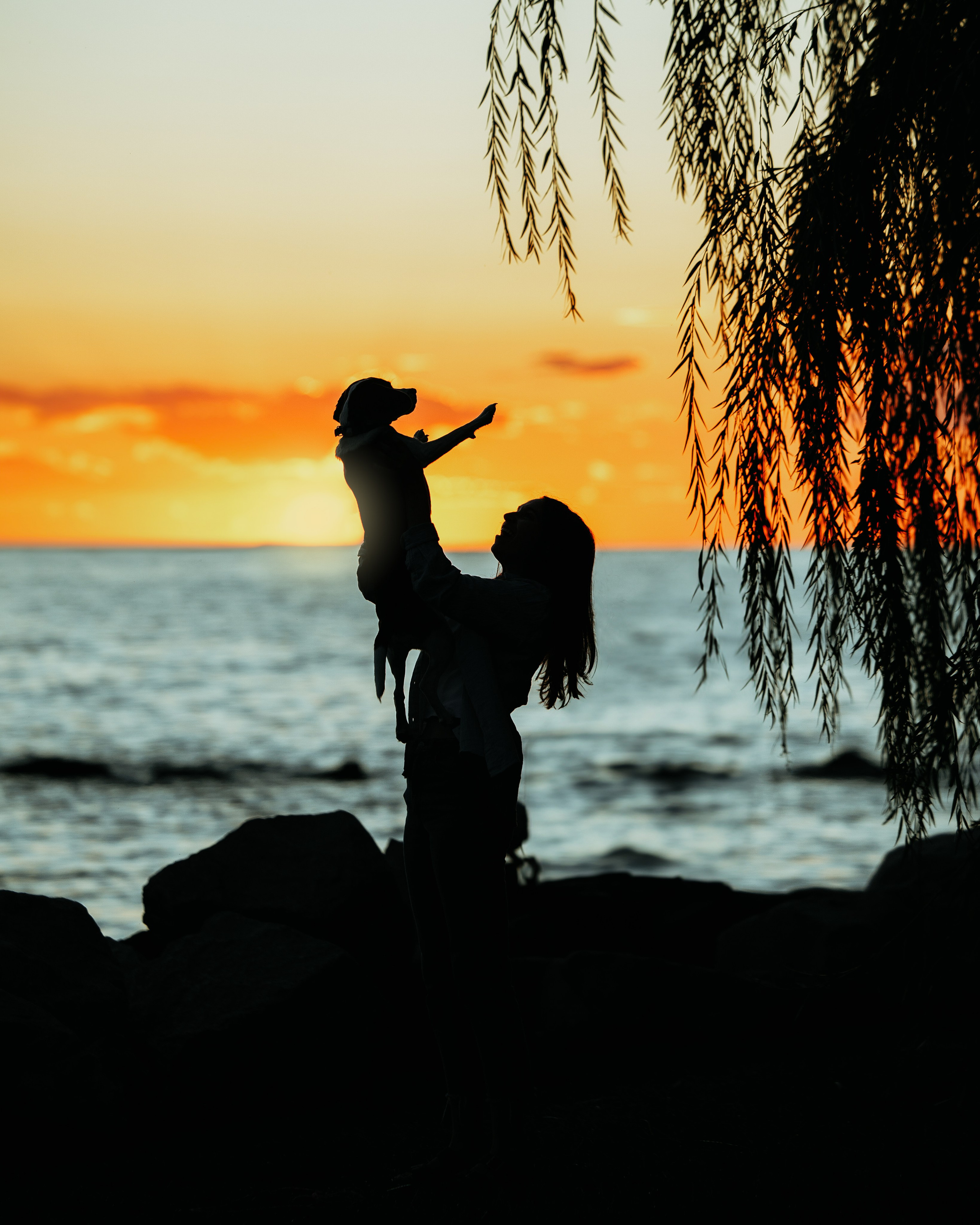 Maxine & Sarah. Pet Photographer Viktoriya Aleshenko
