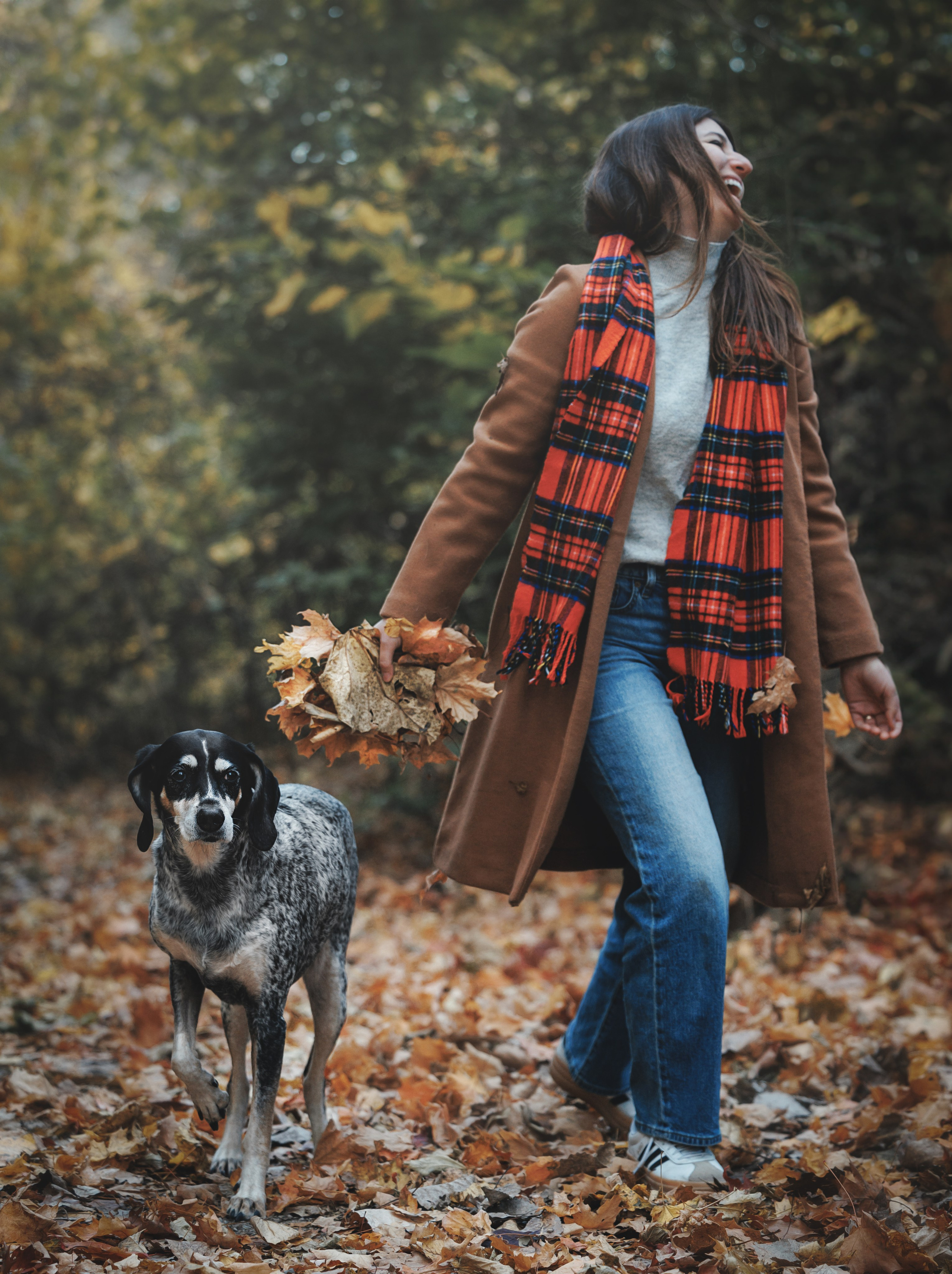 Racer & Delly. Pet Photographer Viktoriya Aleshenko