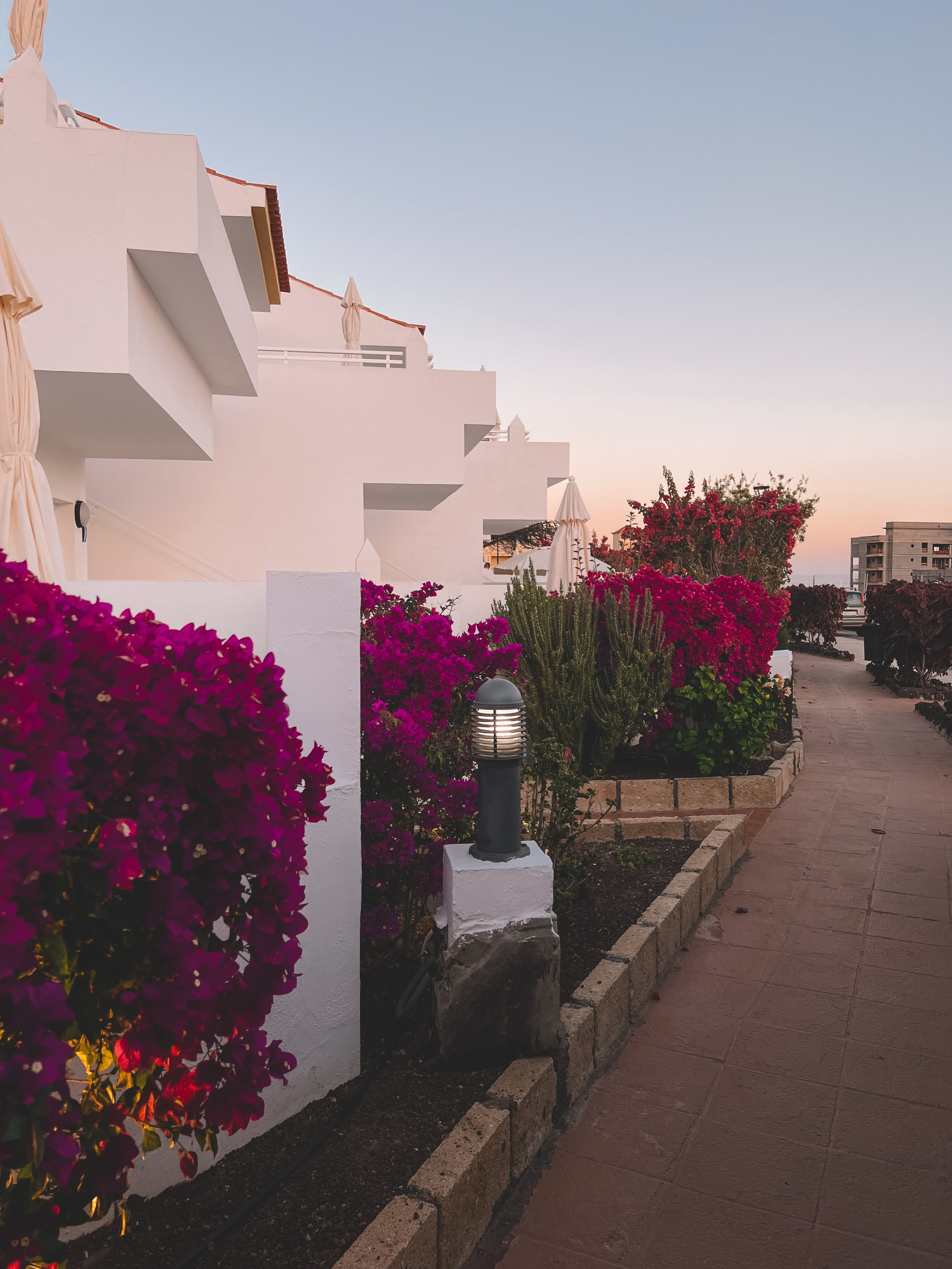 Tenerife. Ivlianna Travels — travel blog with photography tips