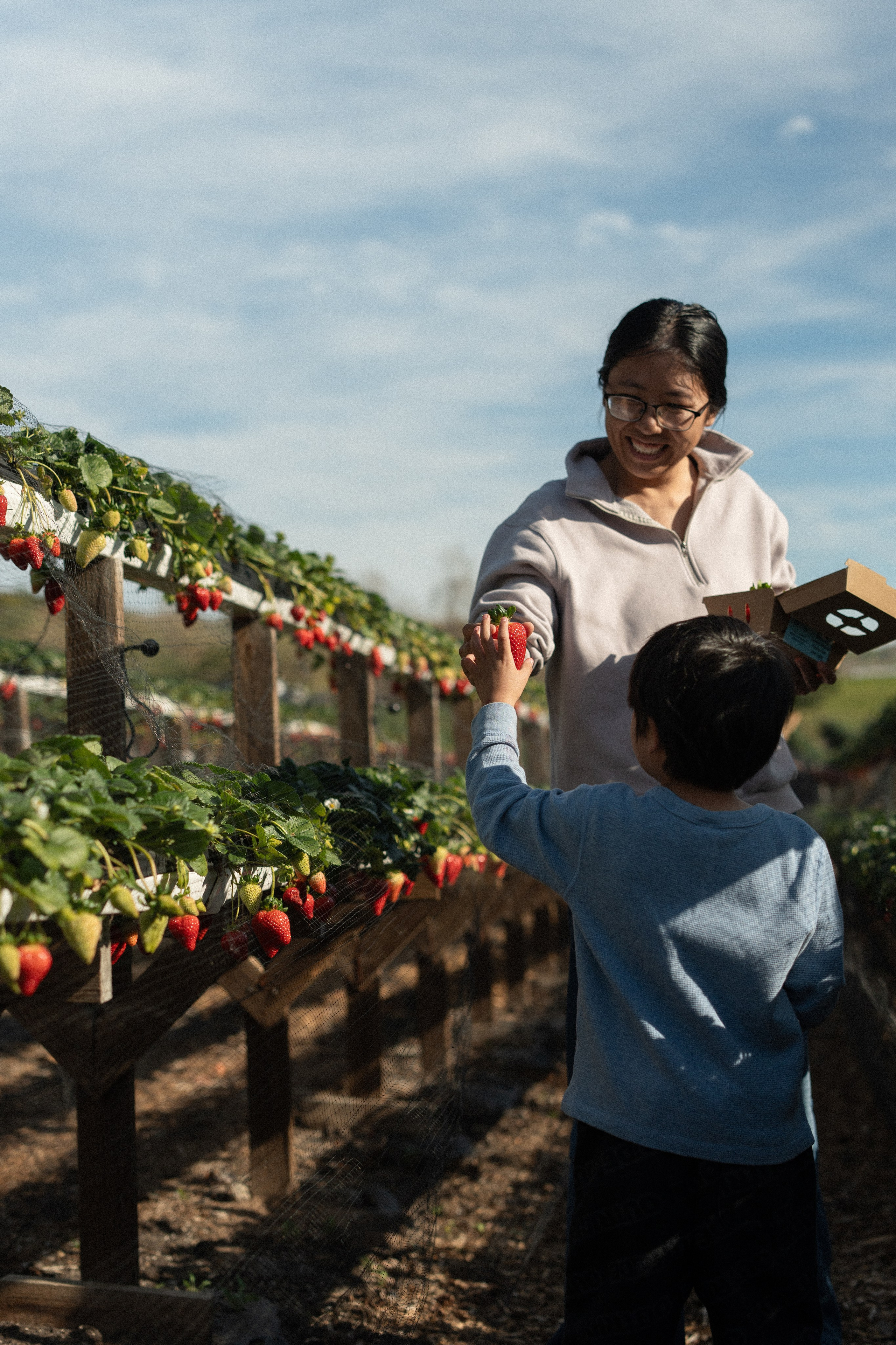 Strawberry Fun Farm. Mom and Son Shoot. Portrait, family, maternity & wedding photography & videography in SoCal Kseni Vibe