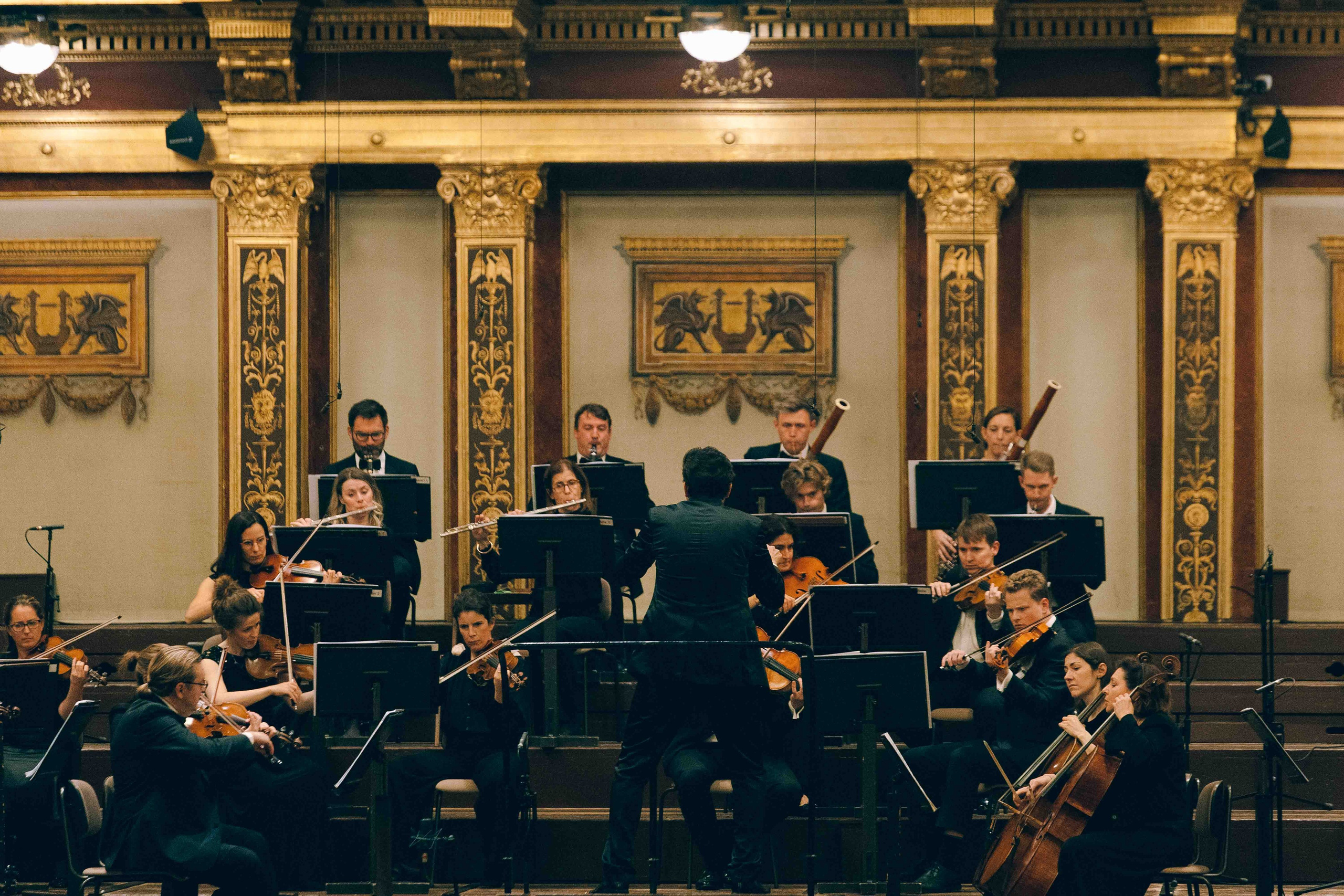 MUSIKVEREIN (VIENNA). Wedding&Event photographer Ismail Rzayev in Baku