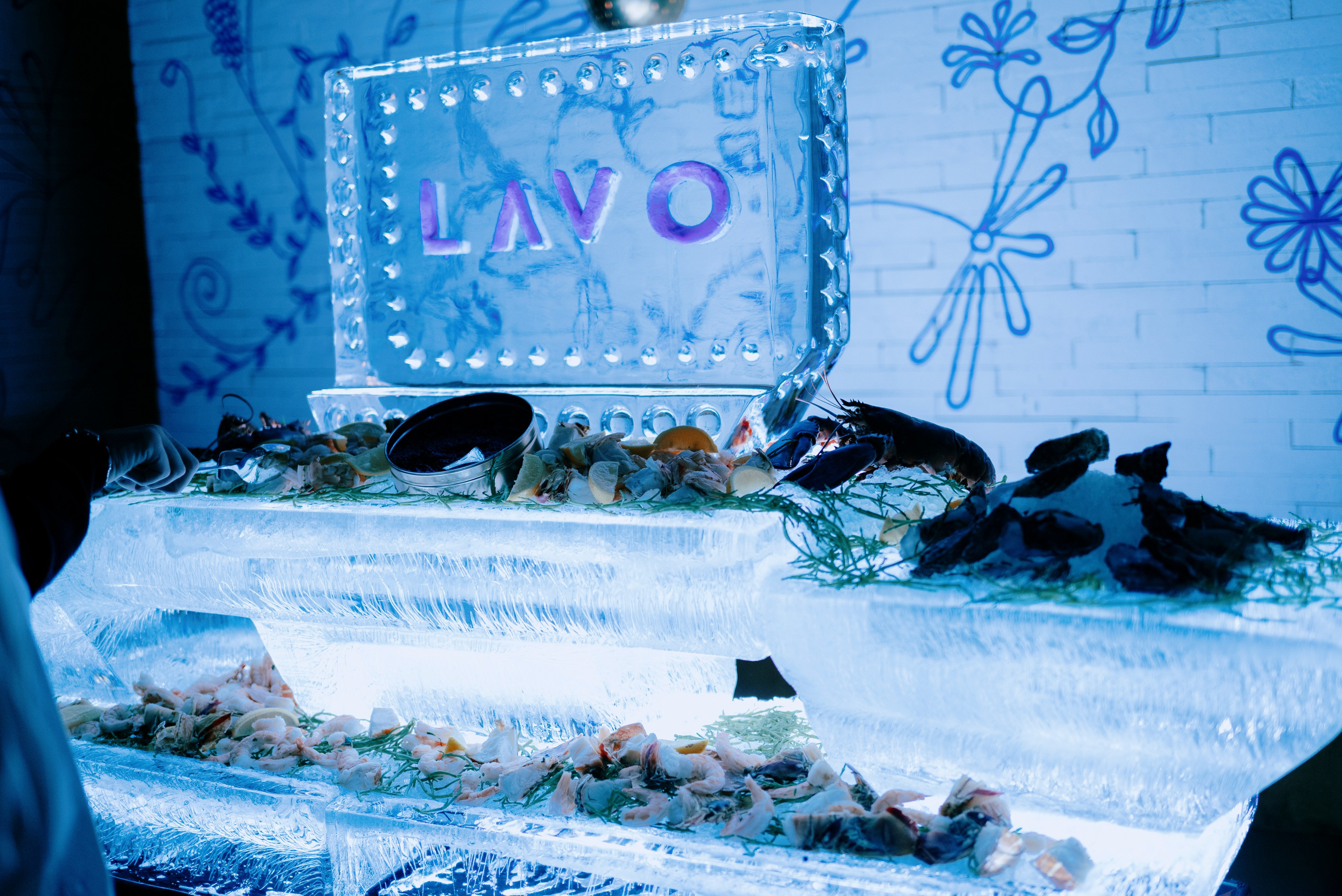 Fotografía de Eventos en México | Capturando la Esencia de Tus Momento. Fotógrafo de eventos en Cuidad de Mexico Dasha Shchukova