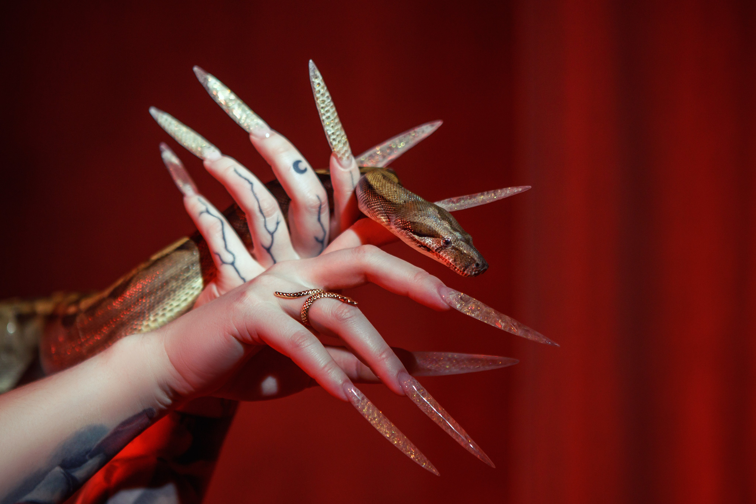 Виктория и Виверн — студийная фотосессия со змеей (Dalia Studio, Варшава). Рома Волков 🐍 Змеи в Варшаве