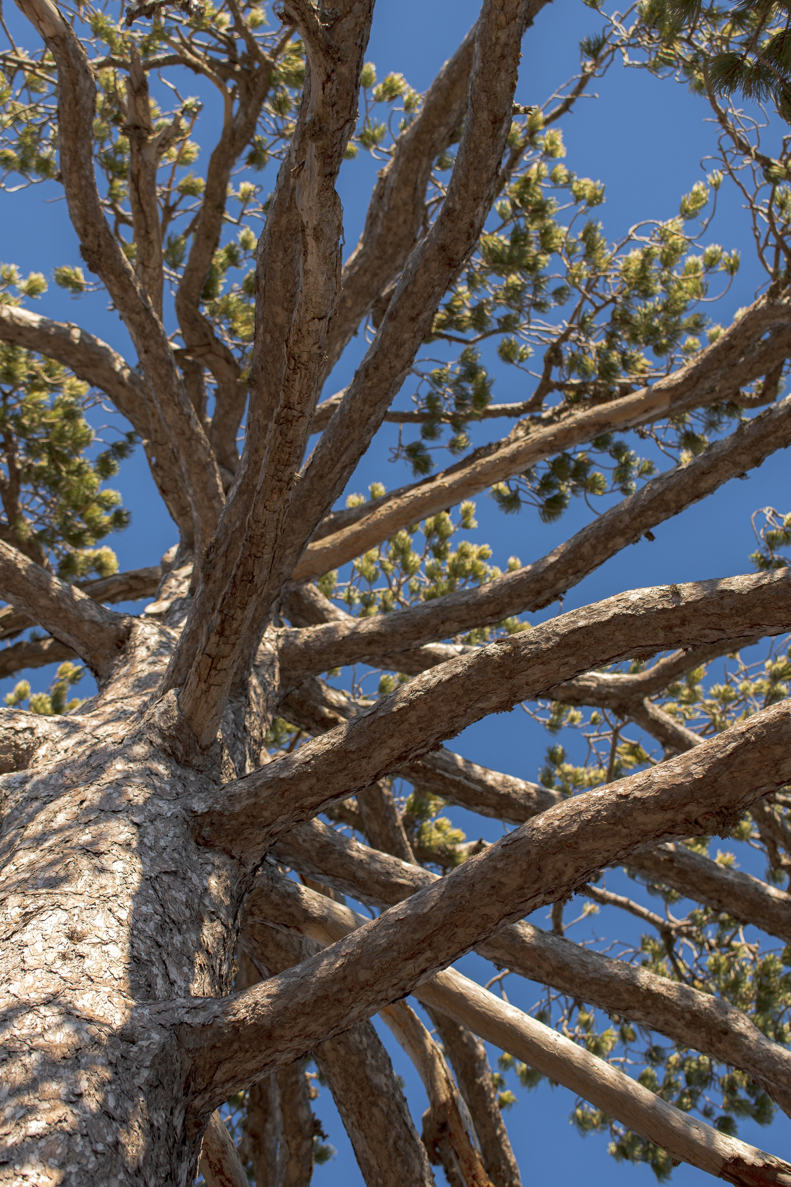 Around the world: Moments. Фотограф и Видеограф | Кишинев, Молдова