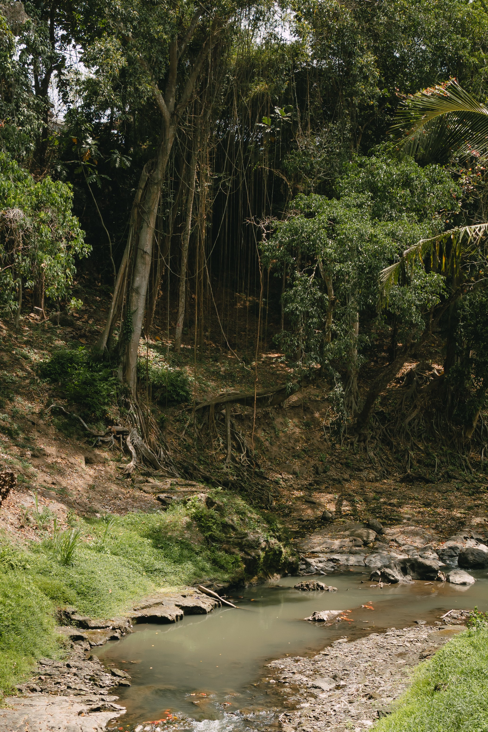 Event photography. Video production in Bali, Photo production in Bali