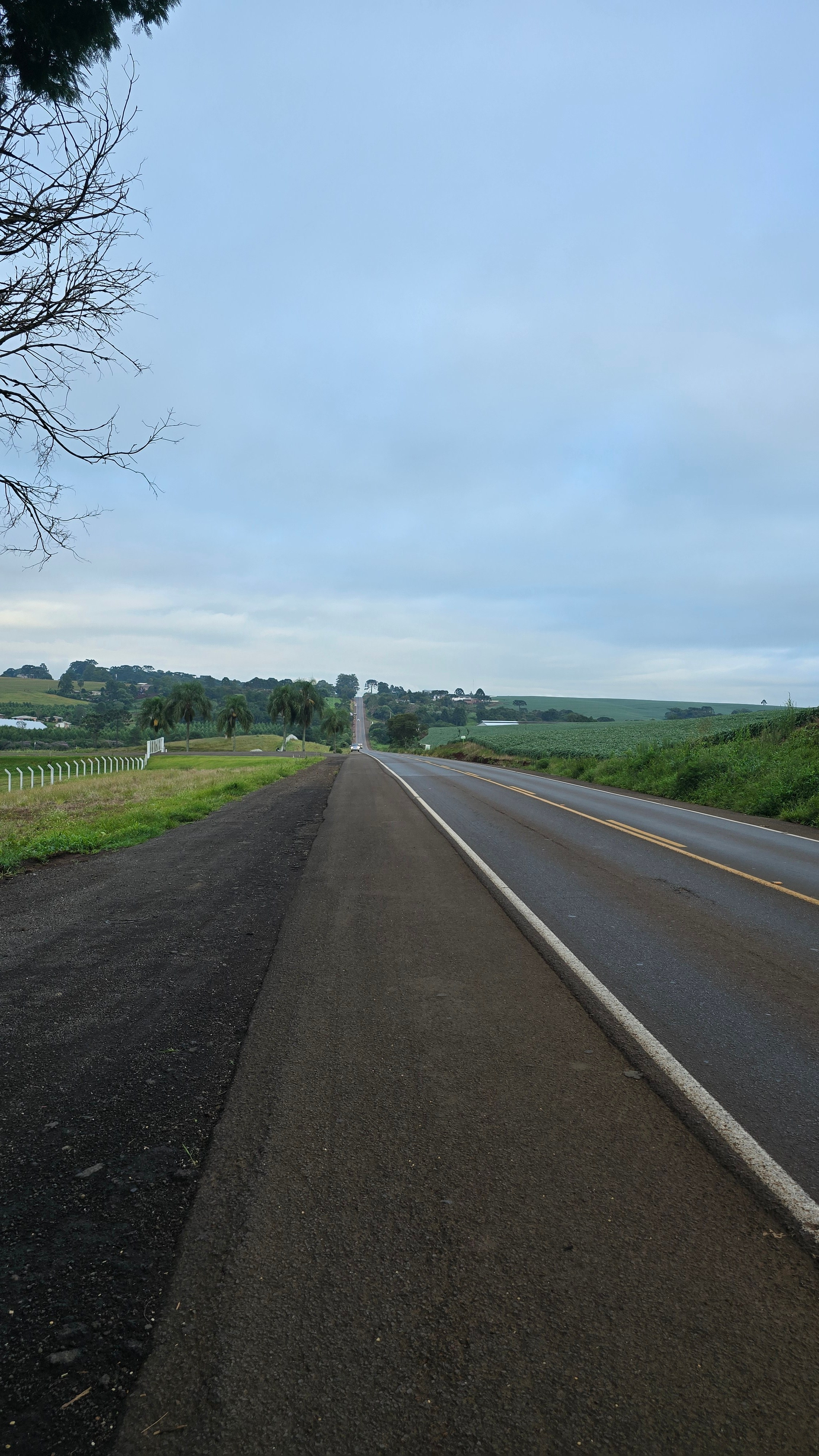 Peregrinação Nossa Senhora de Belém. Handa Produções