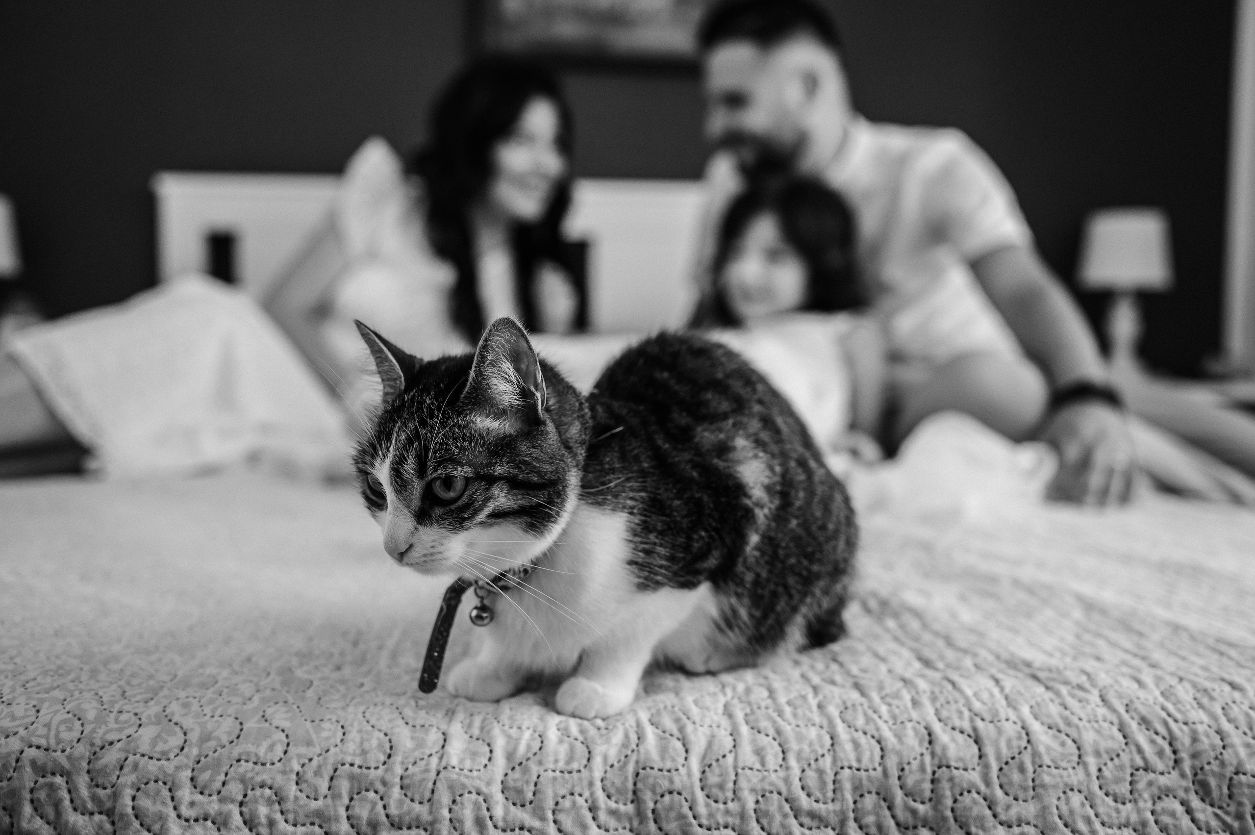 Anya. Erik Bagy | Fotograf de Nuntă