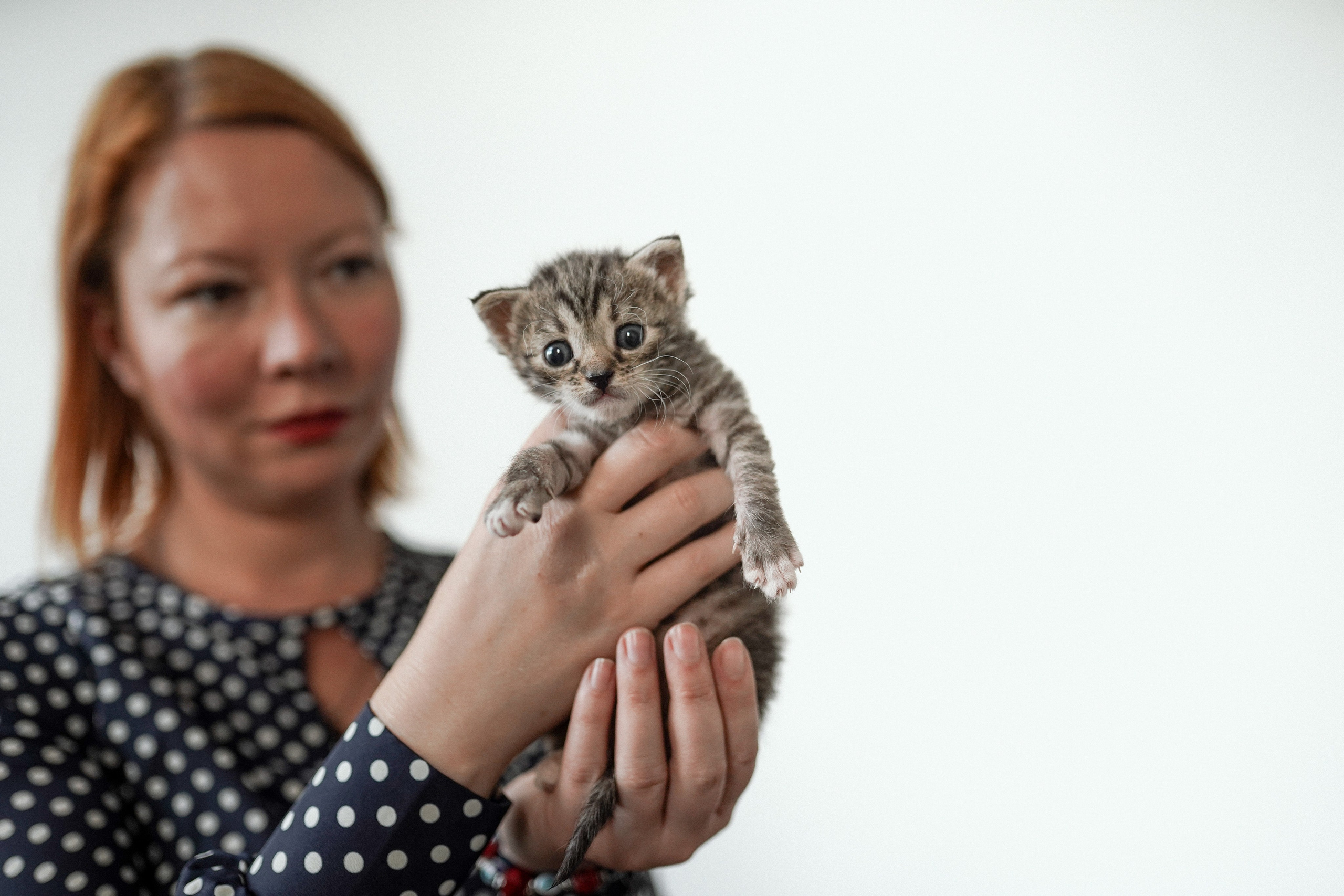 Кот шпедингера. Стрит-фотография, полная абсурда, идиотизма и красоты