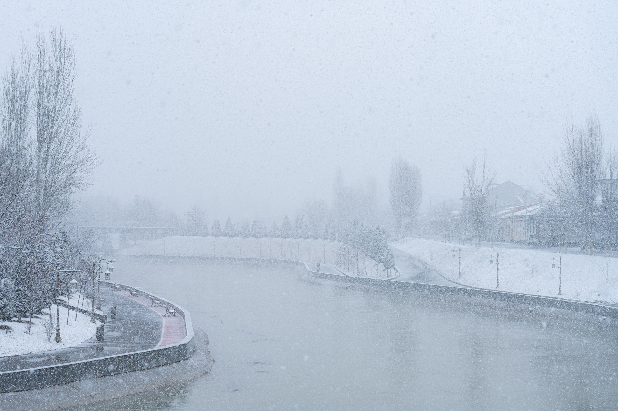 Первый снег в 2024 году. Георгий Намазов | Фотограф в Ташкенте