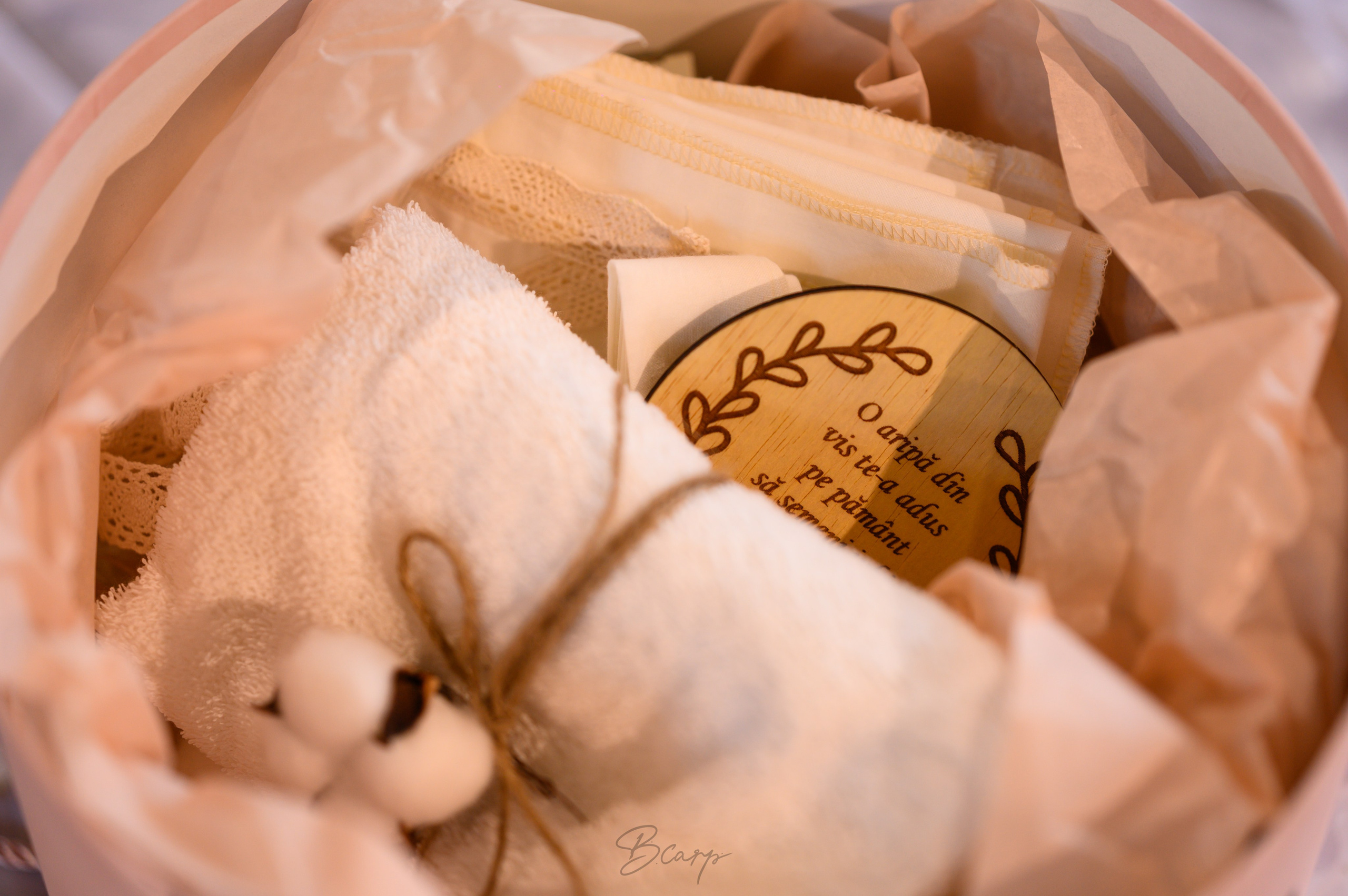 Ana Caterina. BCarp Productions