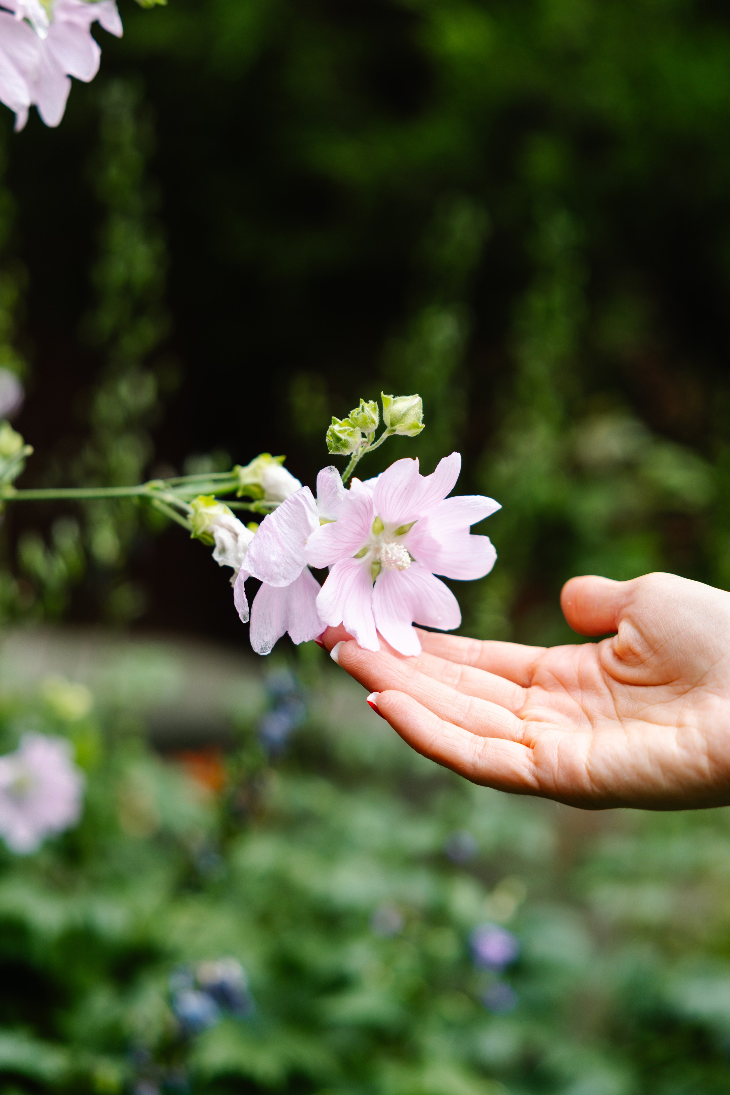 Yulia&Sophia. Wedding photography and videography in Regina, Saskatchewan