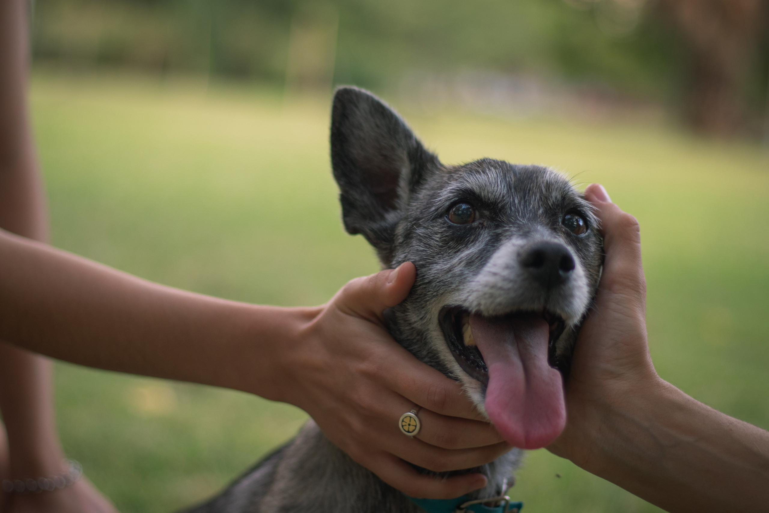 Maya & Pablo. Fotógrafo en Mendoza Alexander Safonov