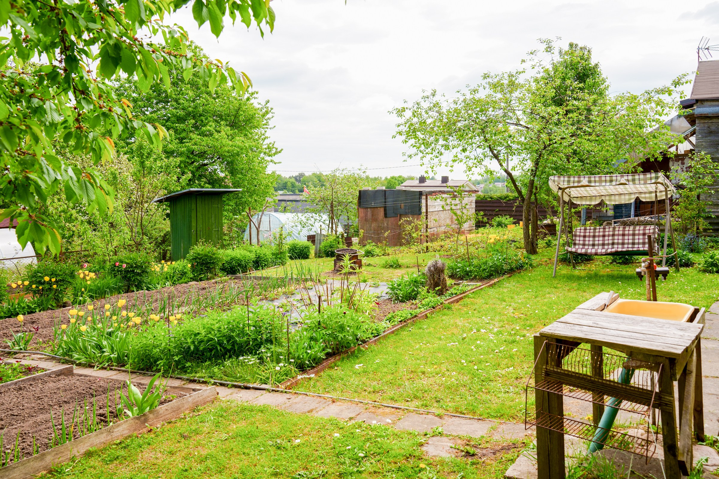 Pupojų sodų 3-oji. Elina Sapiega fotografė Vilniuje