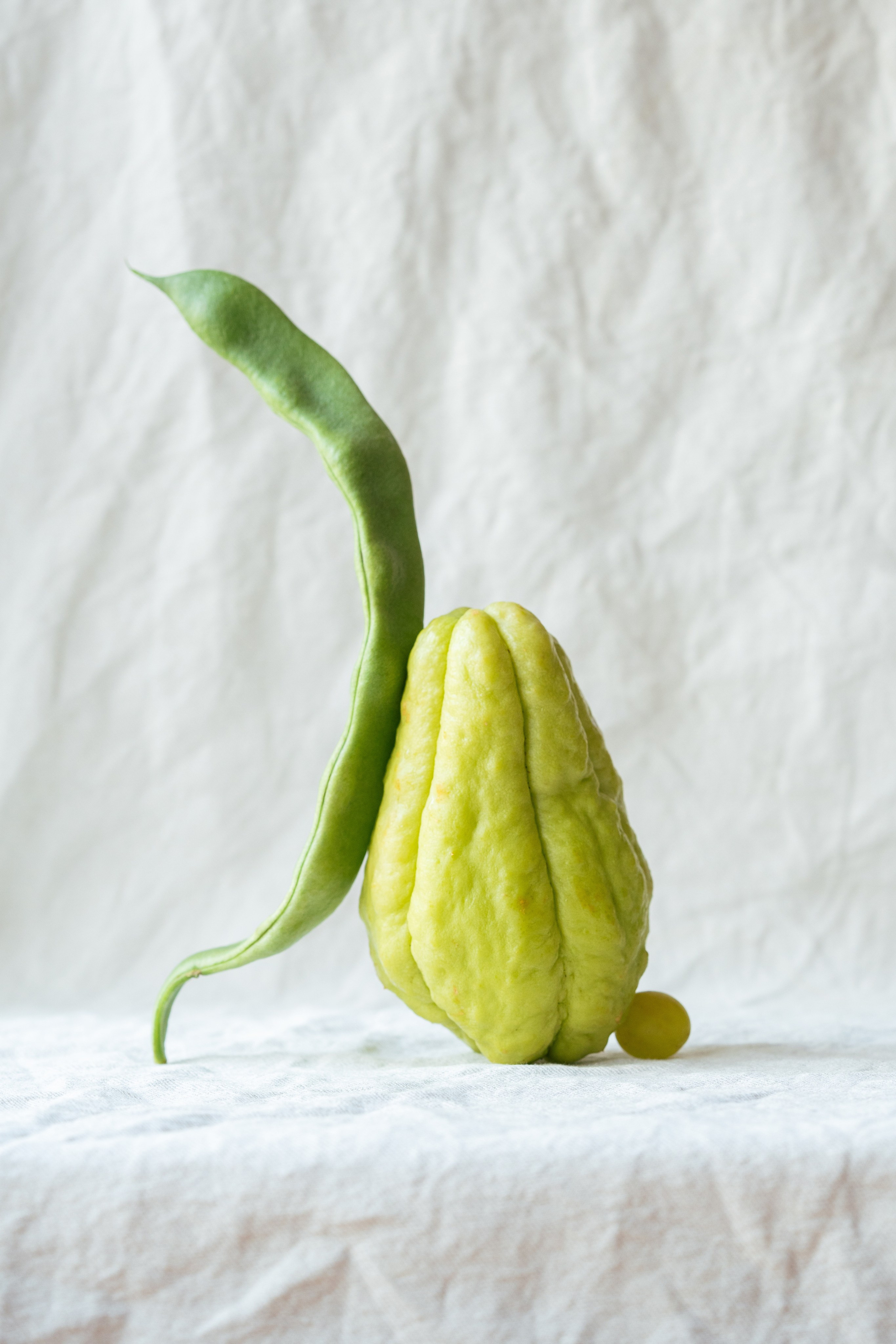 Green vegetables composition. Maria Sher. Professional photographer from Porto, Portugal