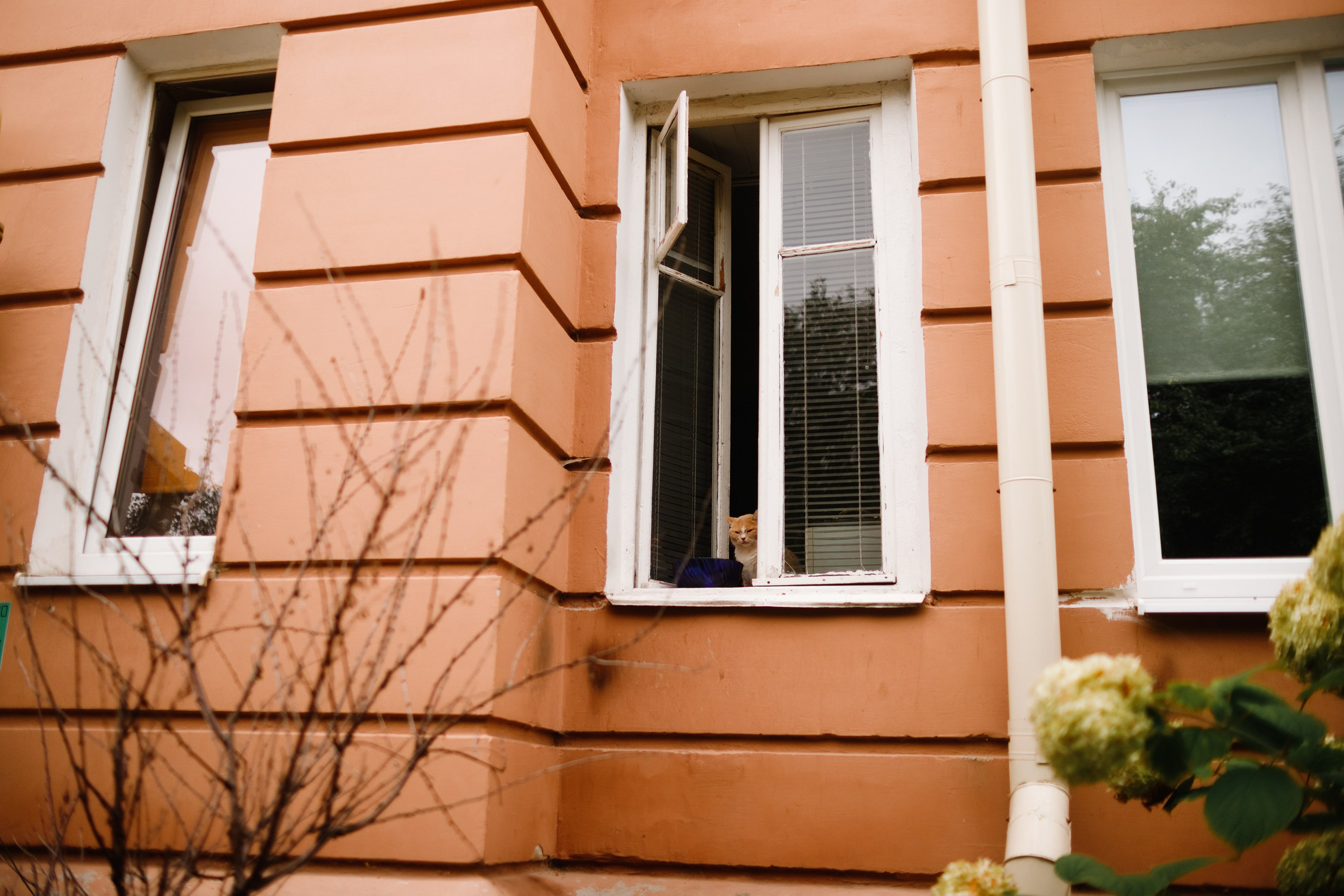 Grodno. Kaja | fotograf we Wrocławiu | ludzie i psy