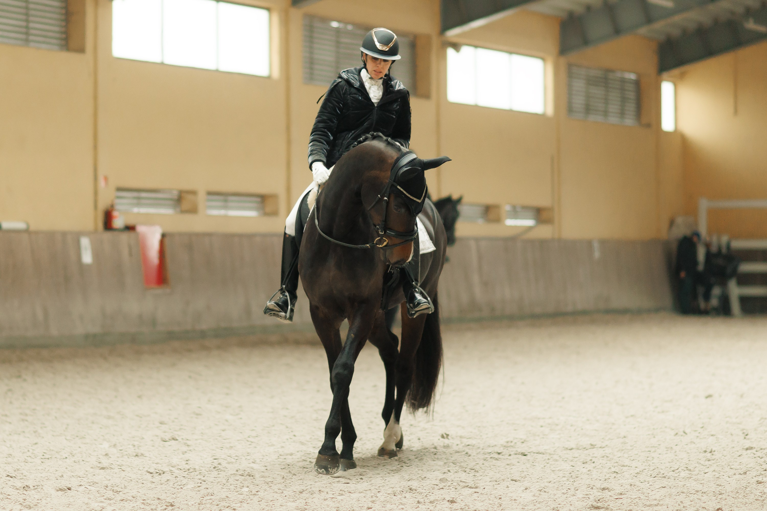 Partynice dressage \ feb'25. Kaja | fotograf we Wrocławiu | ludzie i psy