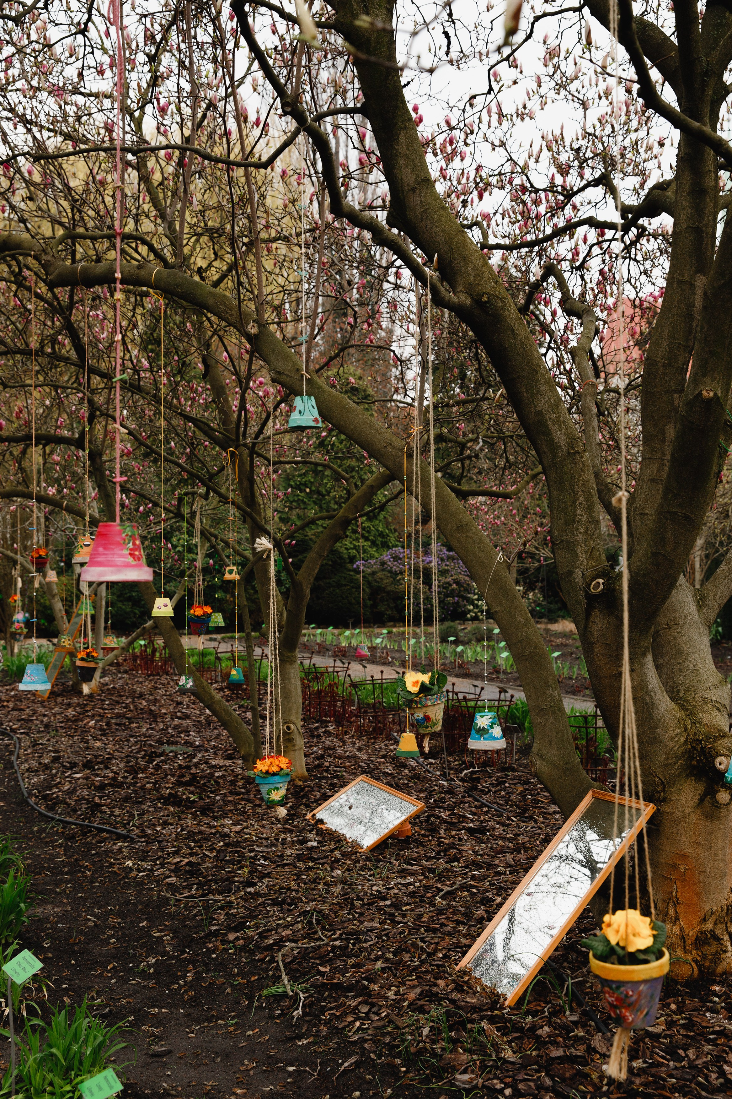 Botanical garden in Wroclaw. Kaja | fotograf we Wrocławiu | ludzie i psy