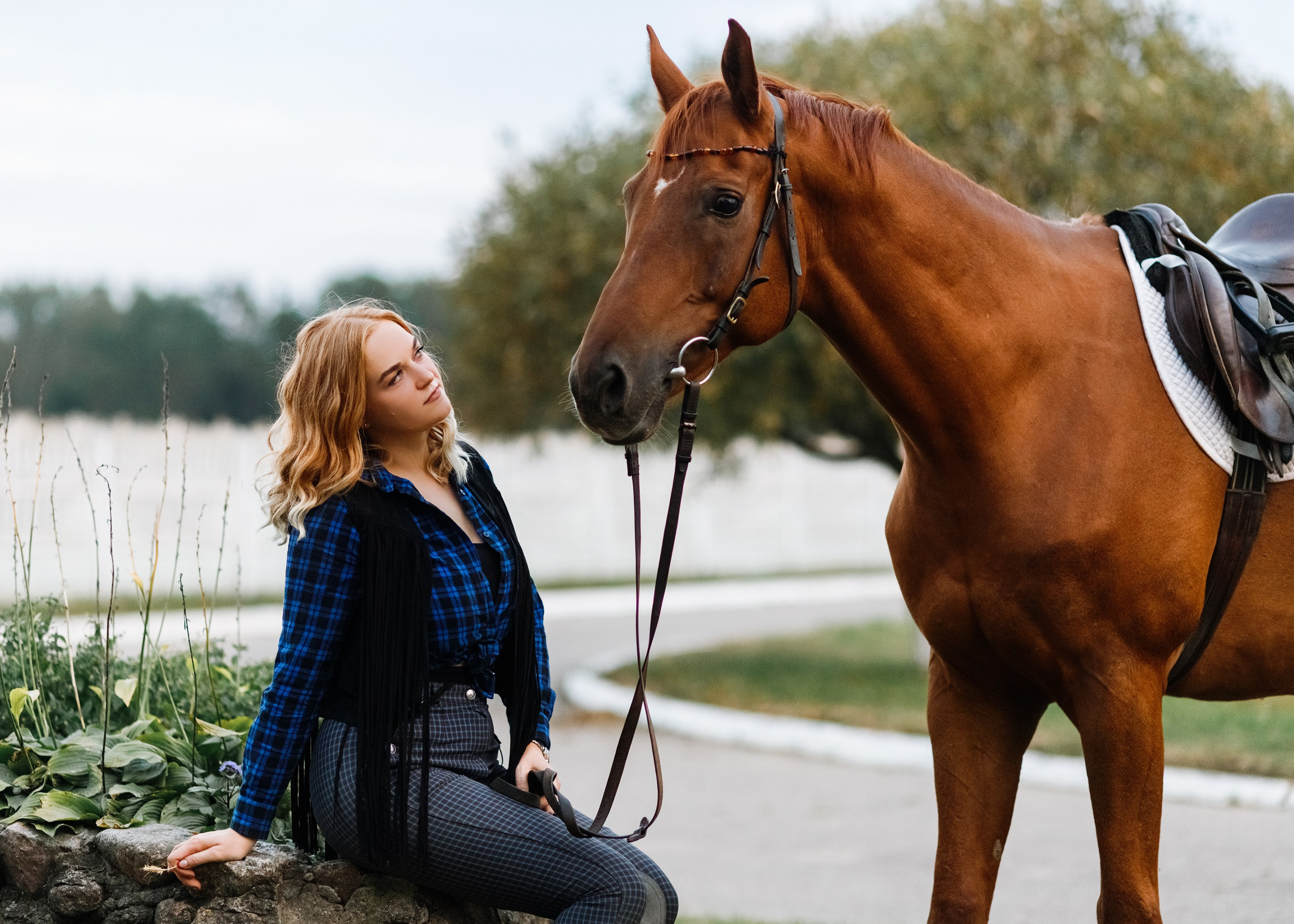 Victoria & her horses, autumn. Kaja | fotograf psów we Wrocławiu