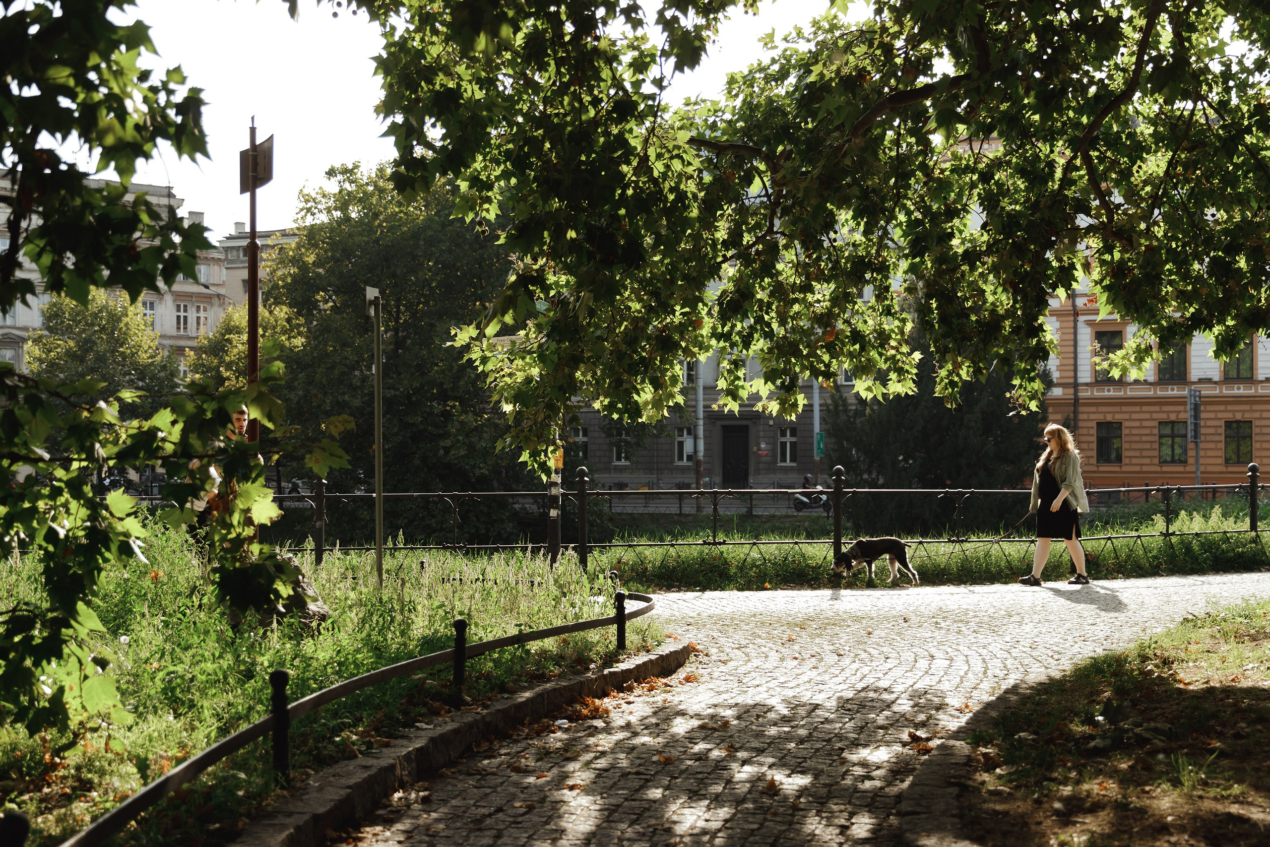 Lera & Flora. Kaja | fotograf we Wrocławiu | ludzie i psy