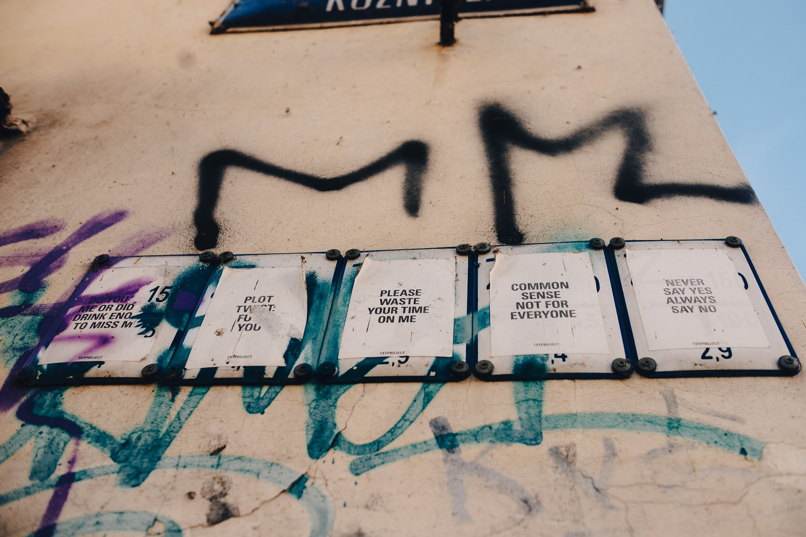 Wroclaw | the best ones. Kaja | fotograf psów we Wrocławiu