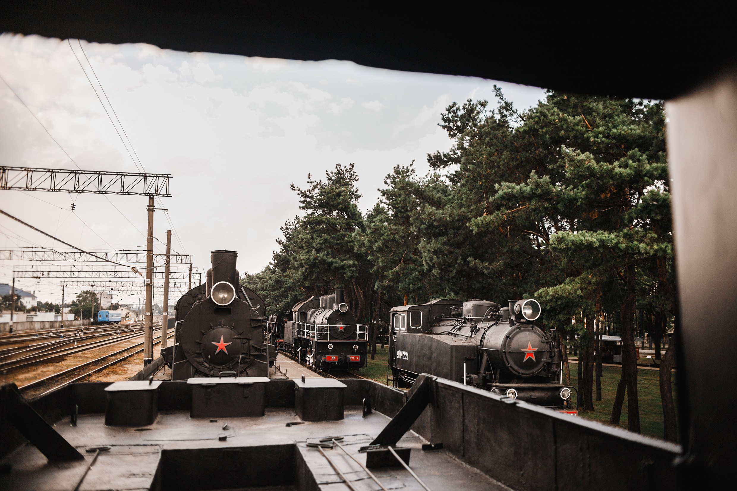 Narrow-gauge railway trip. Kaja | fotograf psów we Wrocławiu