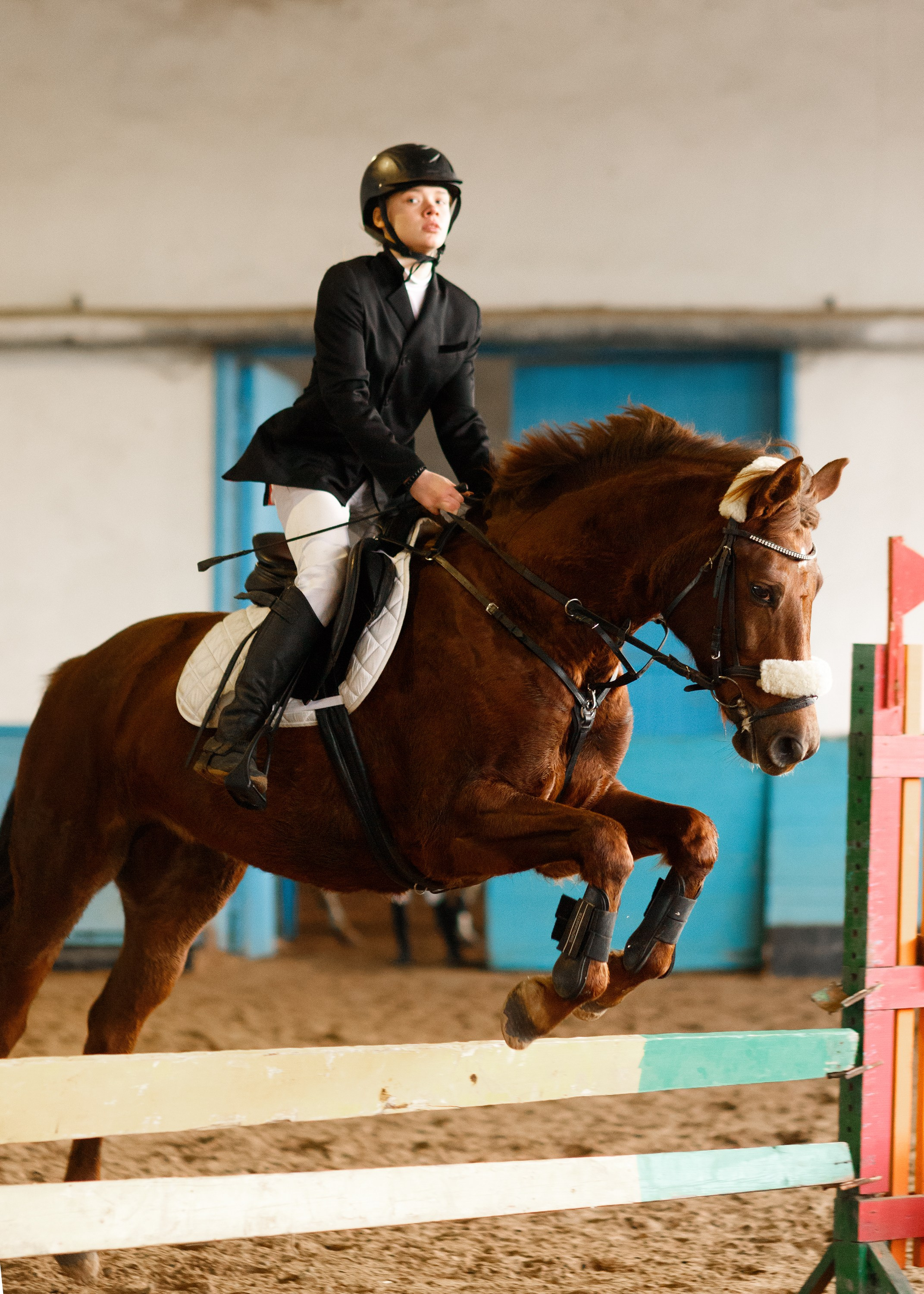 Winter show jumping in «Progress». Kaja | fotograf we Wrocławiu | ludzie i psy