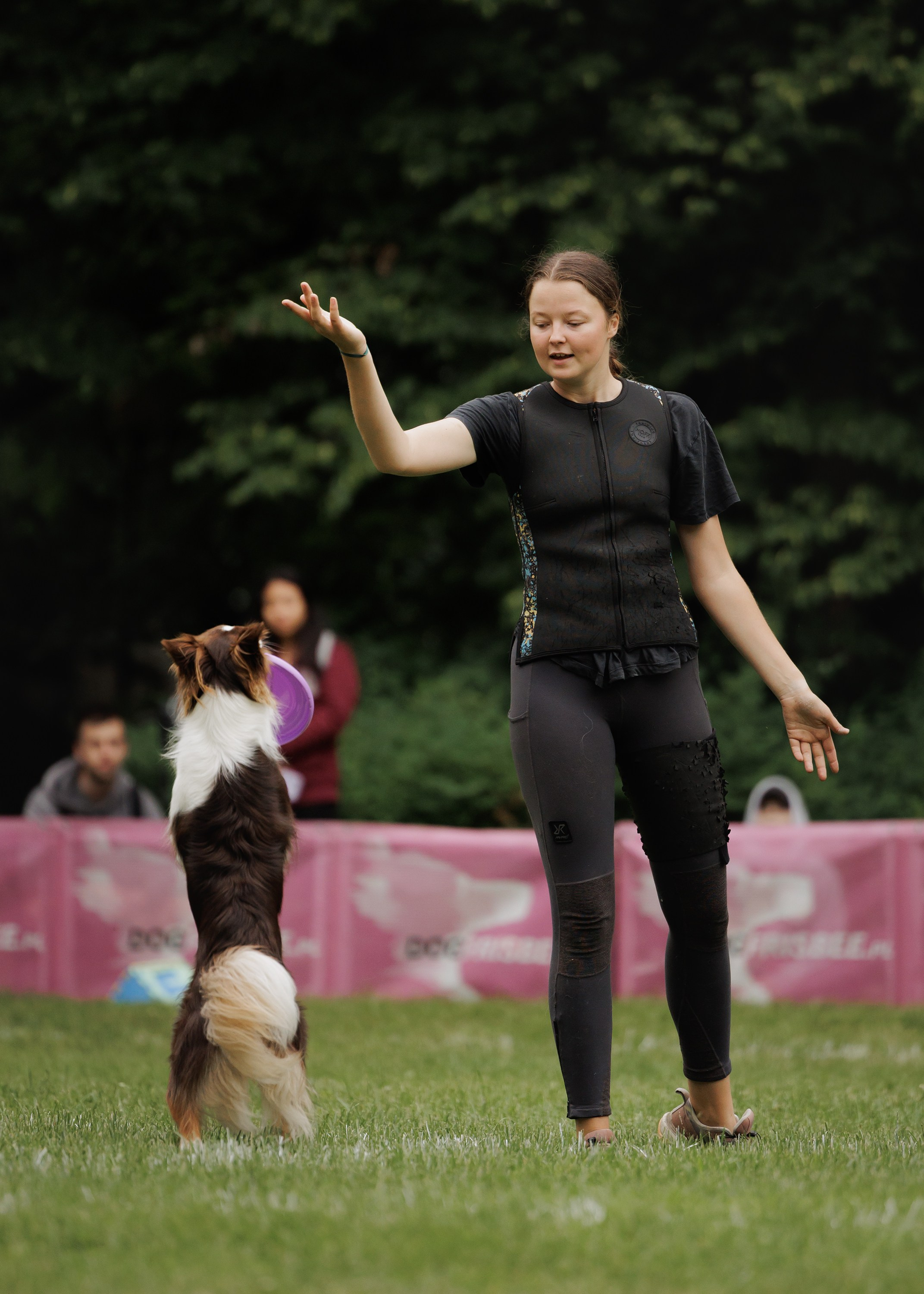 Latające psy, Wrocław'25. Kaja | fotograf psów we Wrocławiu