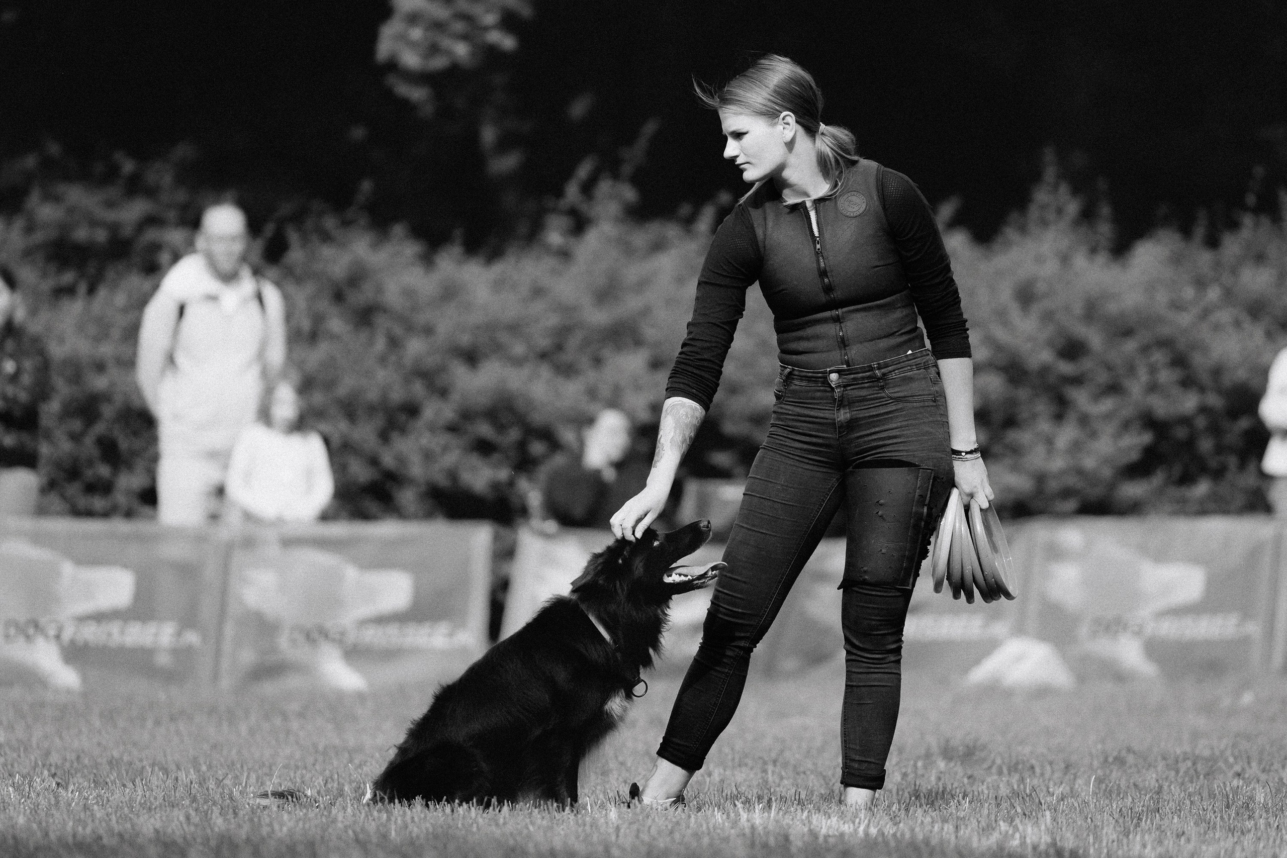 Latające psy, Wrocław'25. Kaja | fotograf psów we Wrocławiu