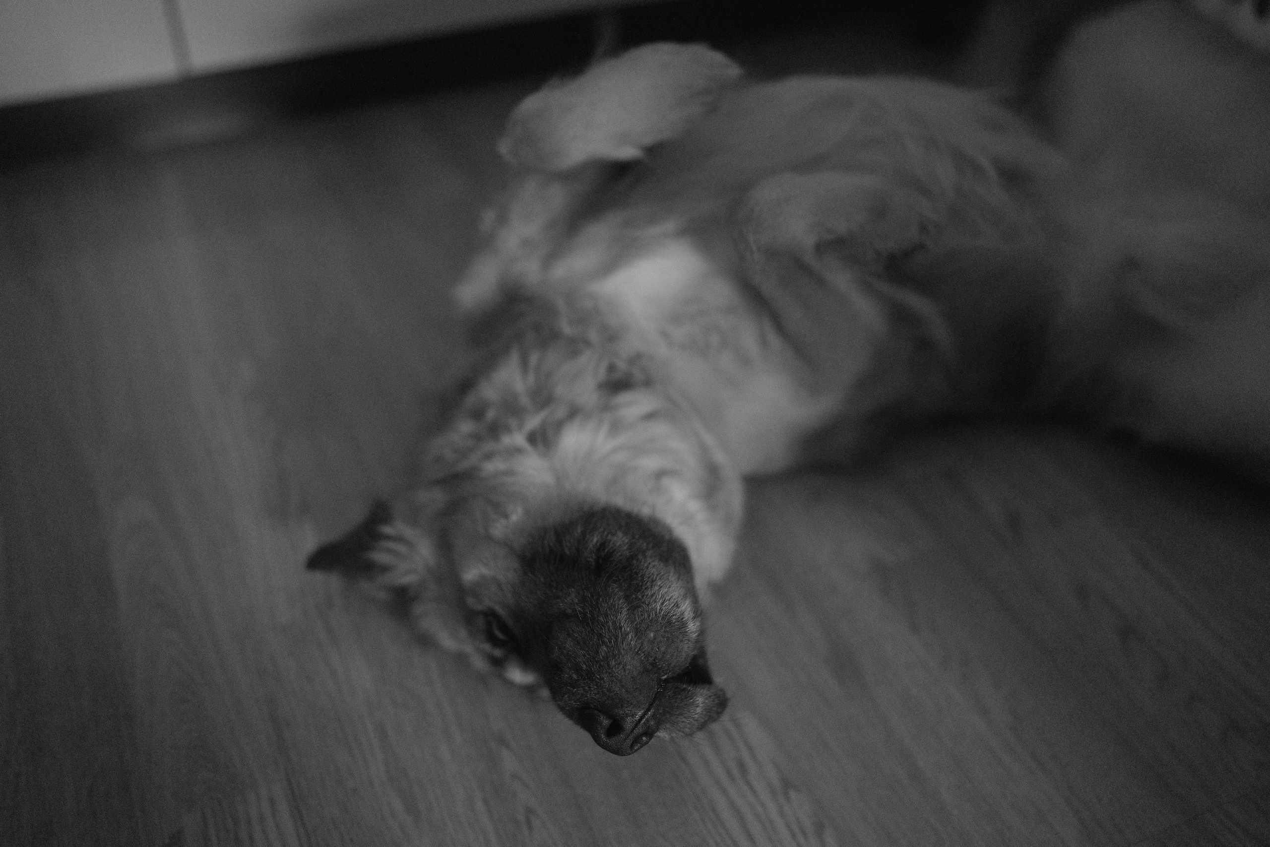 Alena, Vlad and their son Lev. Main