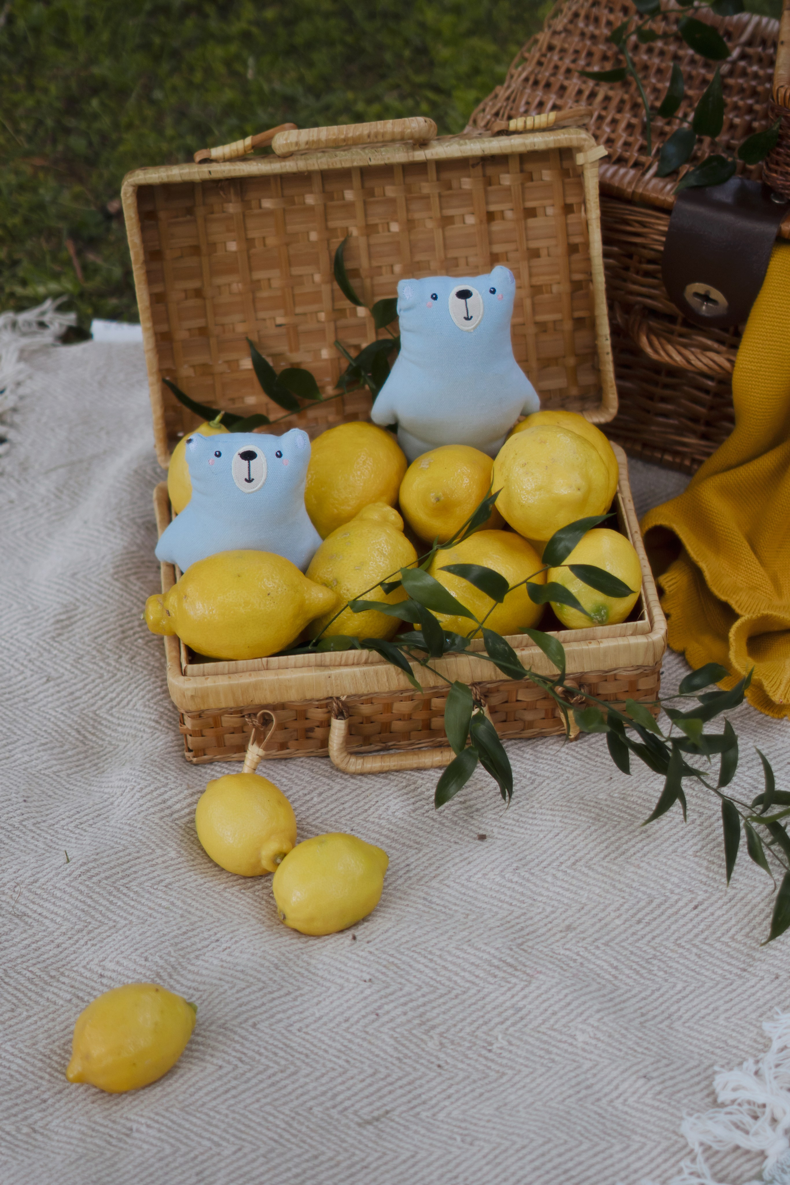 Vincento krikštynos. Fotografė Agnė Navickaitė