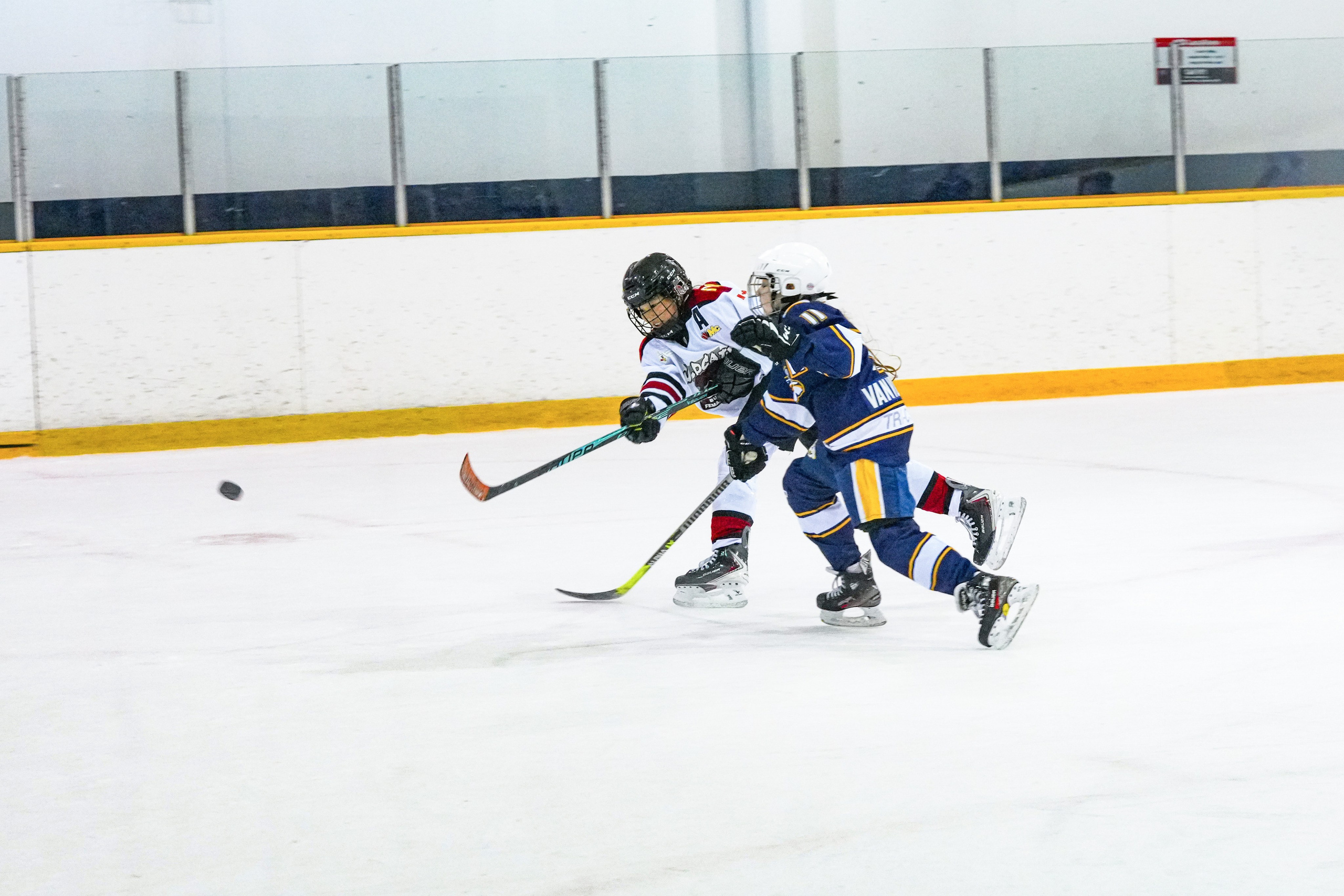 Shuttergry Photography