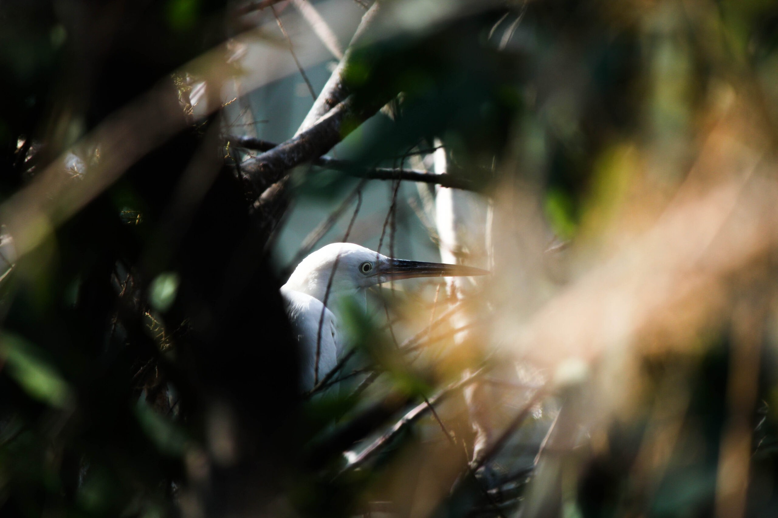 Landscape. Noam Paradise Photographer