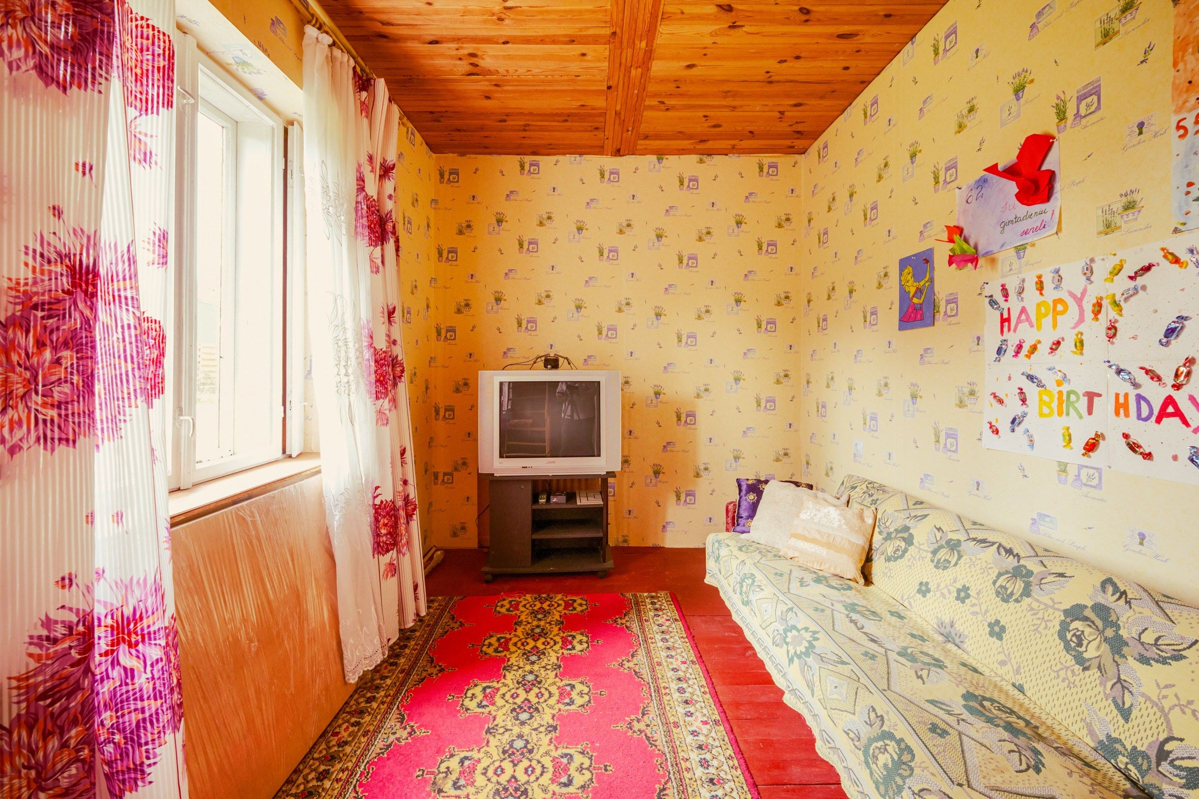 Pupojų sodų 3-oji. Elina Sapiega fotografė Vilniuje