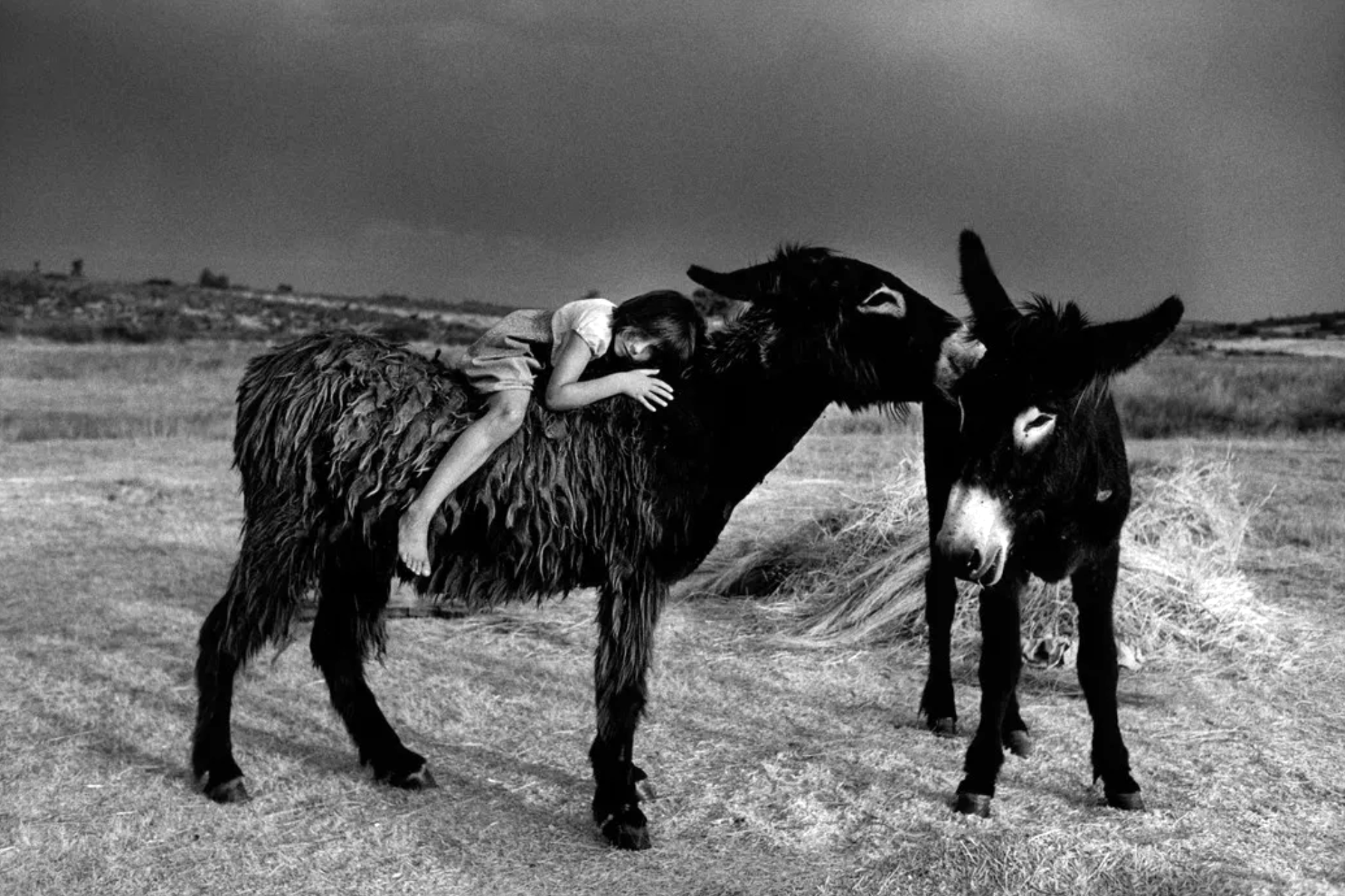 Fixat al carrer. Josep Gil - fotografia