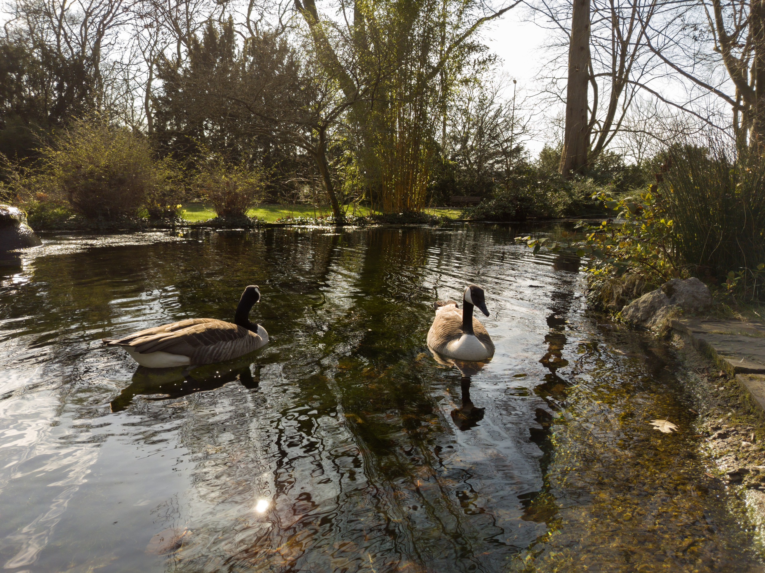 Cologne (Germany) Leverkusen. Fotograf in Köln, Bonn, Düsseldorf, Krefeld
