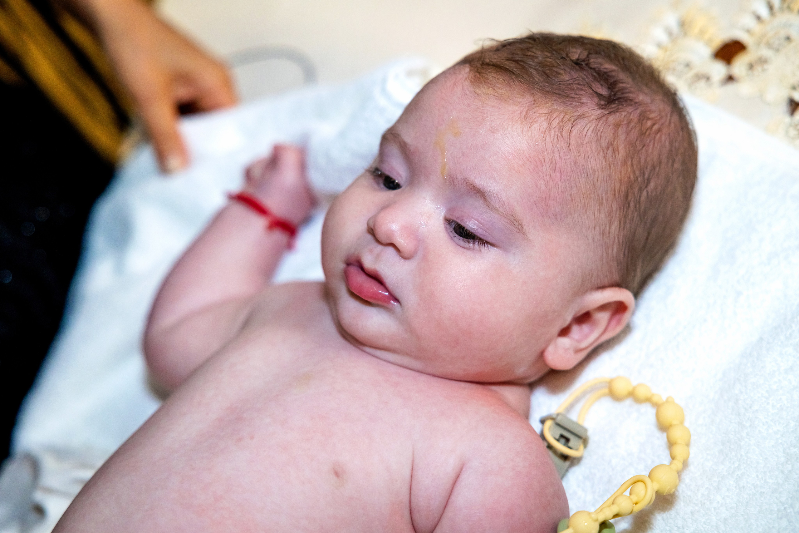 Andrei Damian. Moments By Gub