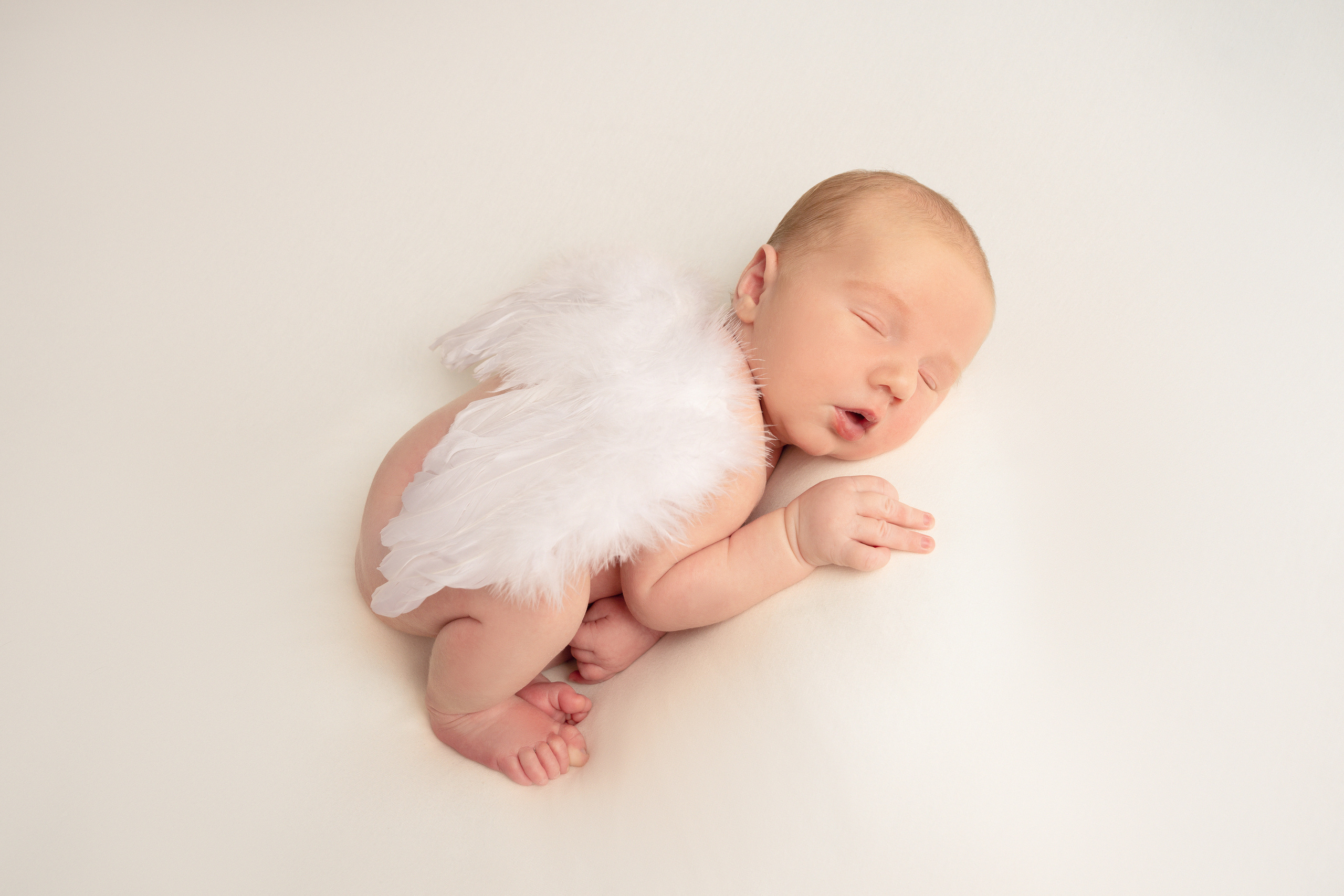 Ein neugeborener Junge mit Engelsflügel der in einem Kofferpose einschläft